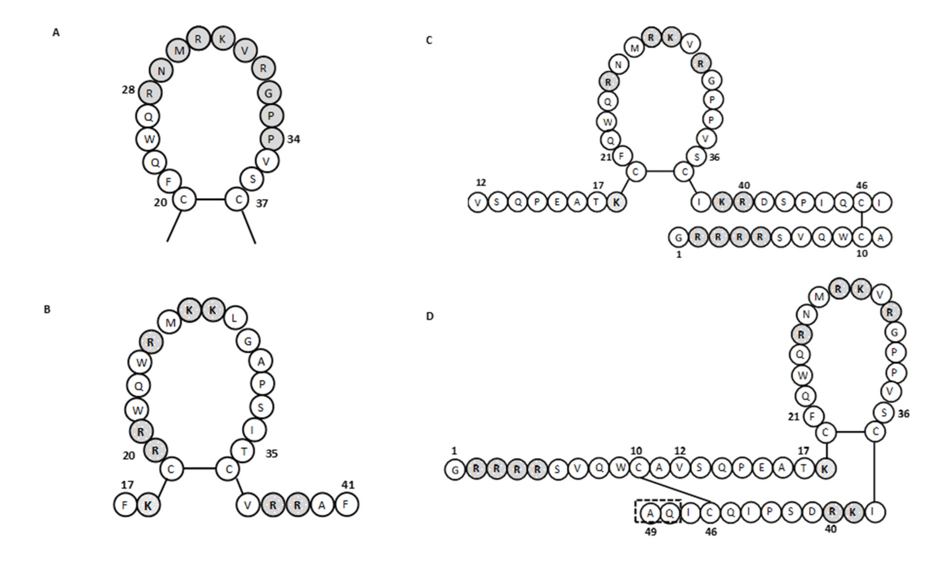 Ijms 22 11264 g003 Ijms 22 11264 g003