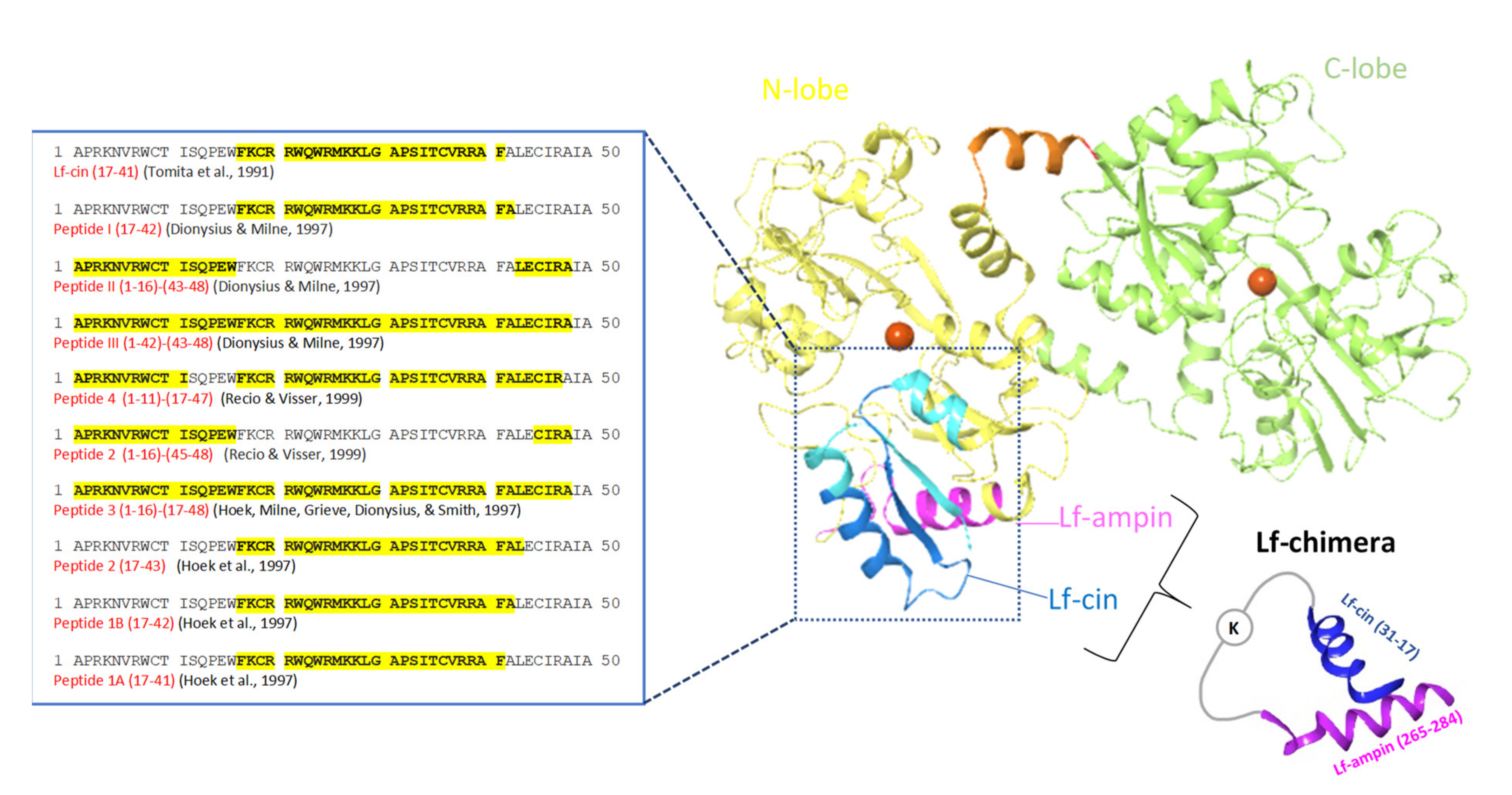 Ijms 22 11264 g004 Ijms 22 11264 g004