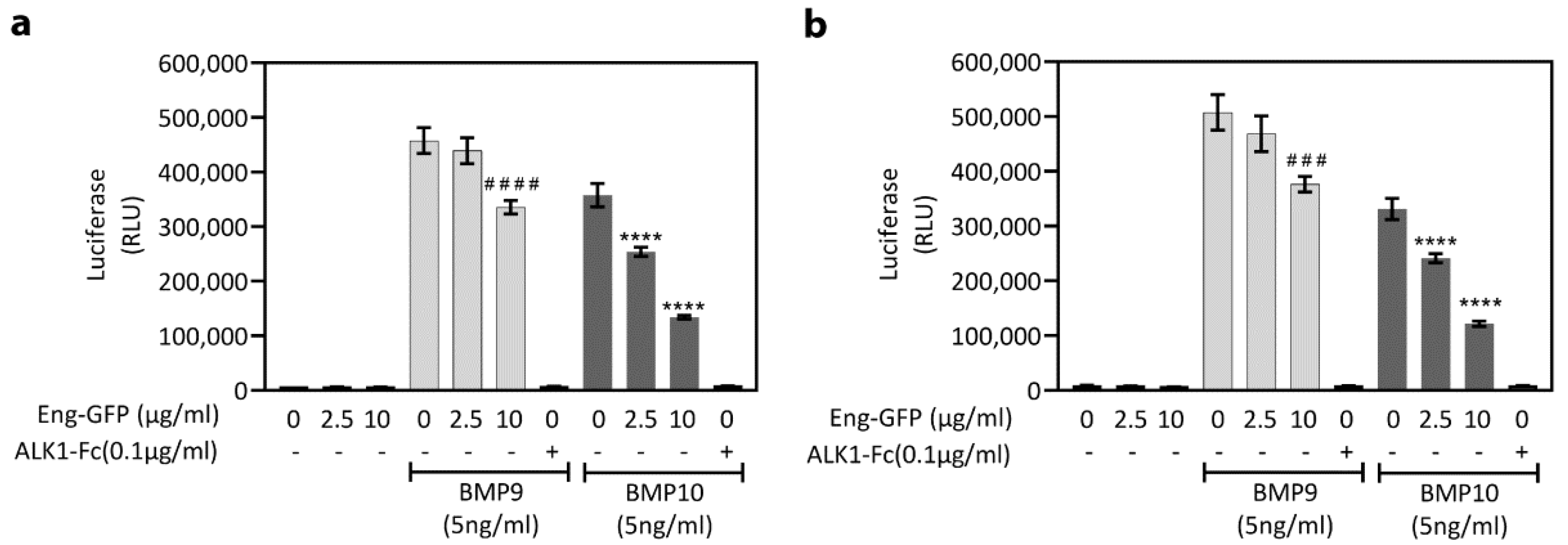 Ijms 22 11282 g005 Ijms 22 11282 g005