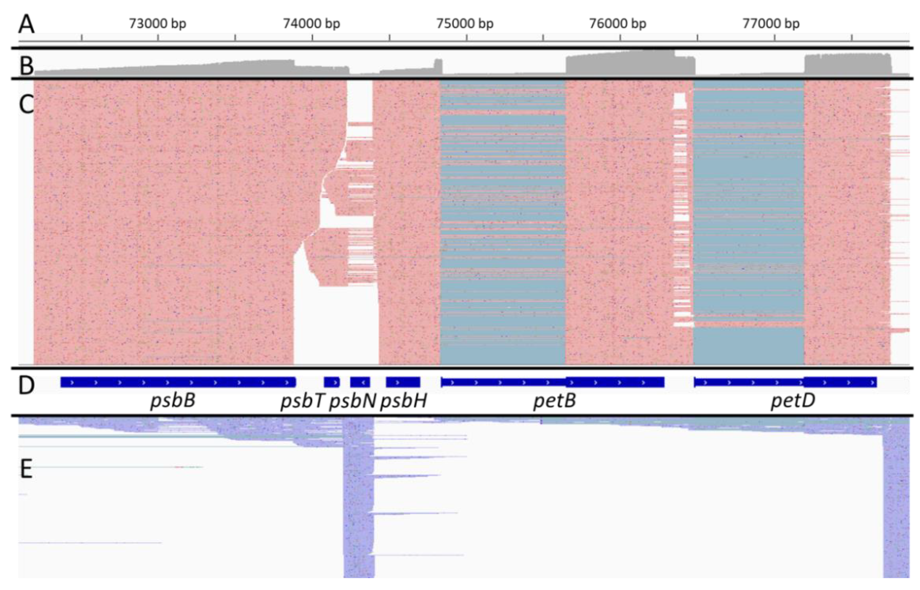 Ijms 22 11297 g001 Ijms 22 11297 g001