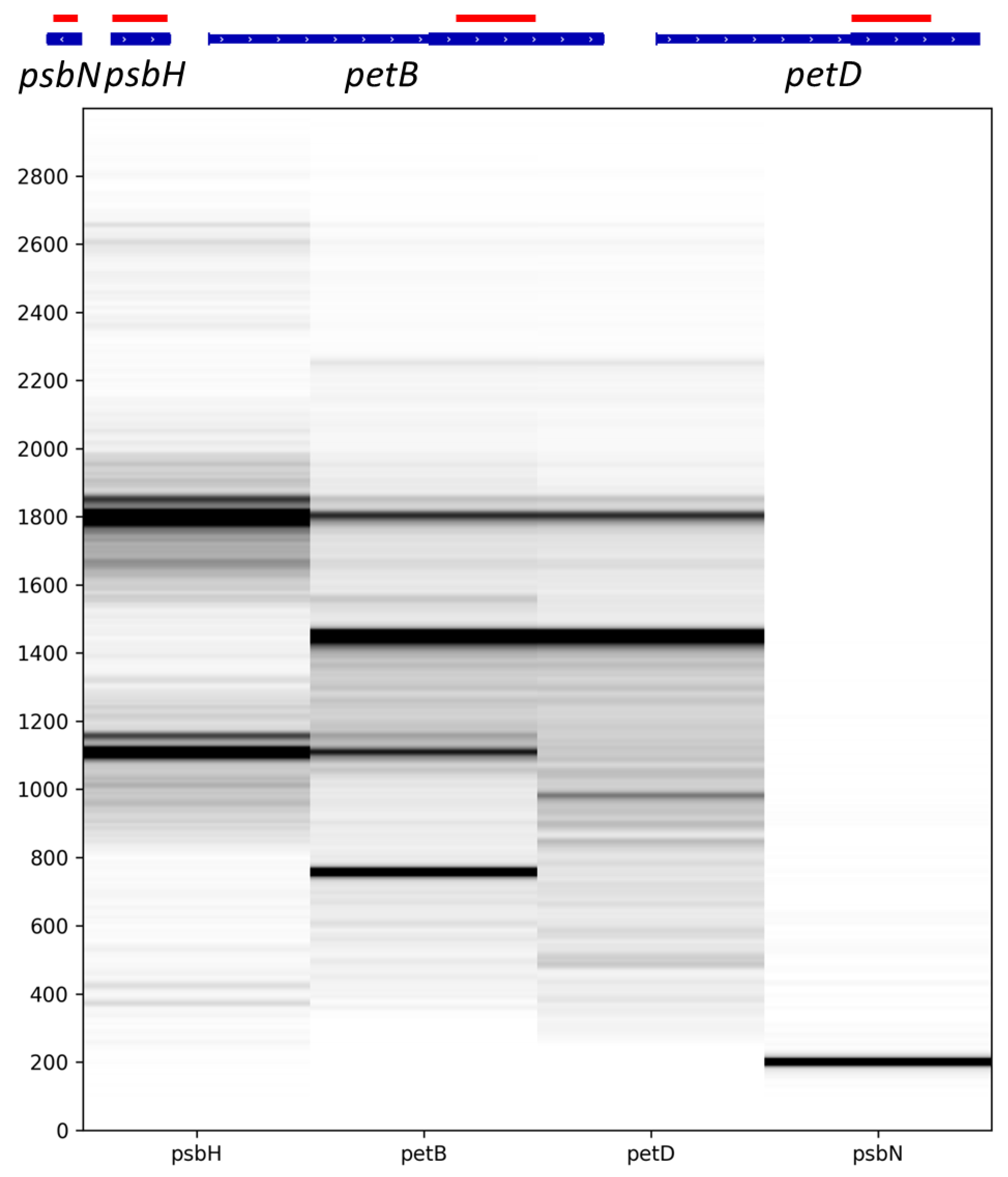 Ijms 22 11297 g002 Ijms 22 11297 g002