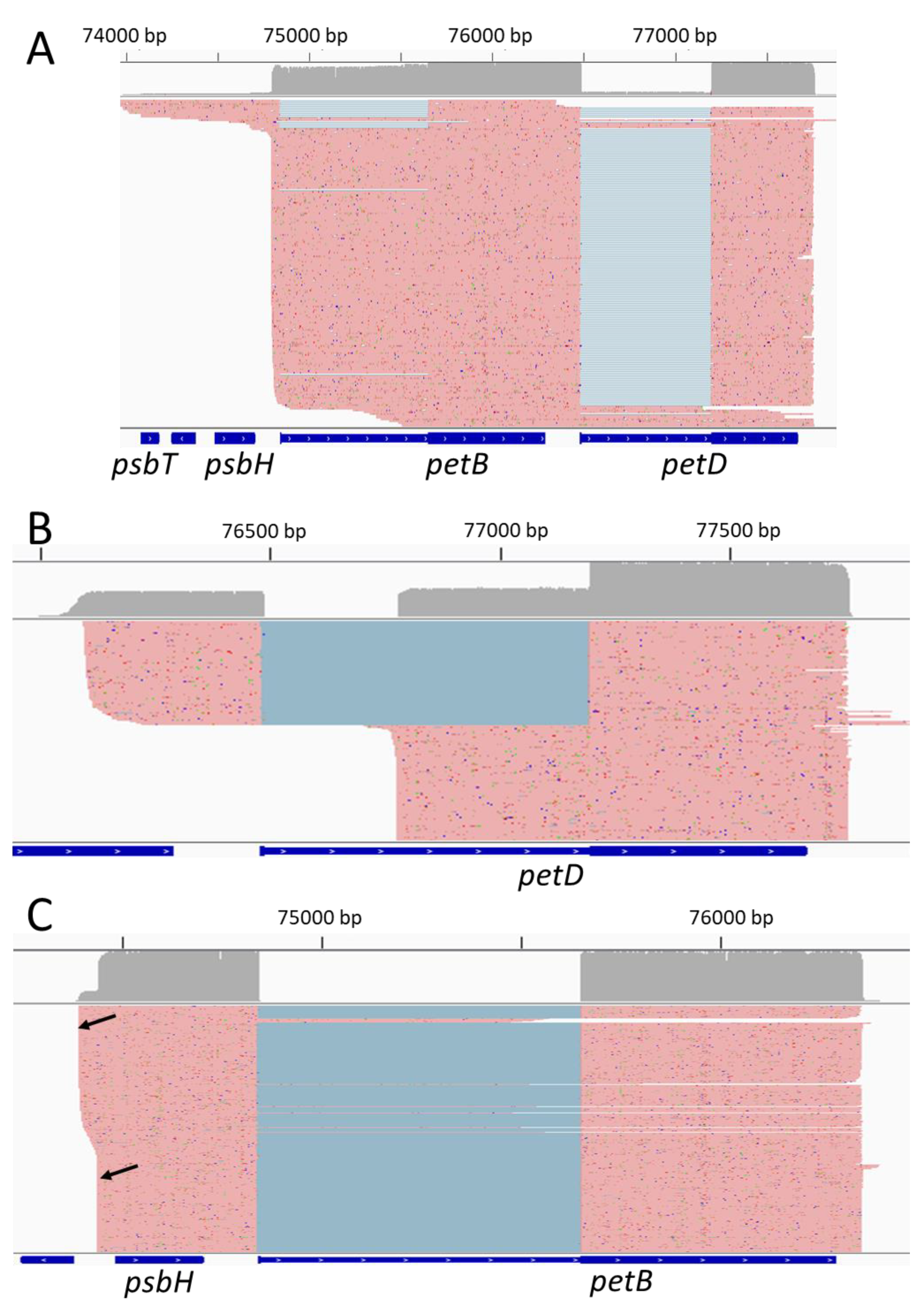 Ijms 22 11297 g003 Ijms 22 11297 g003