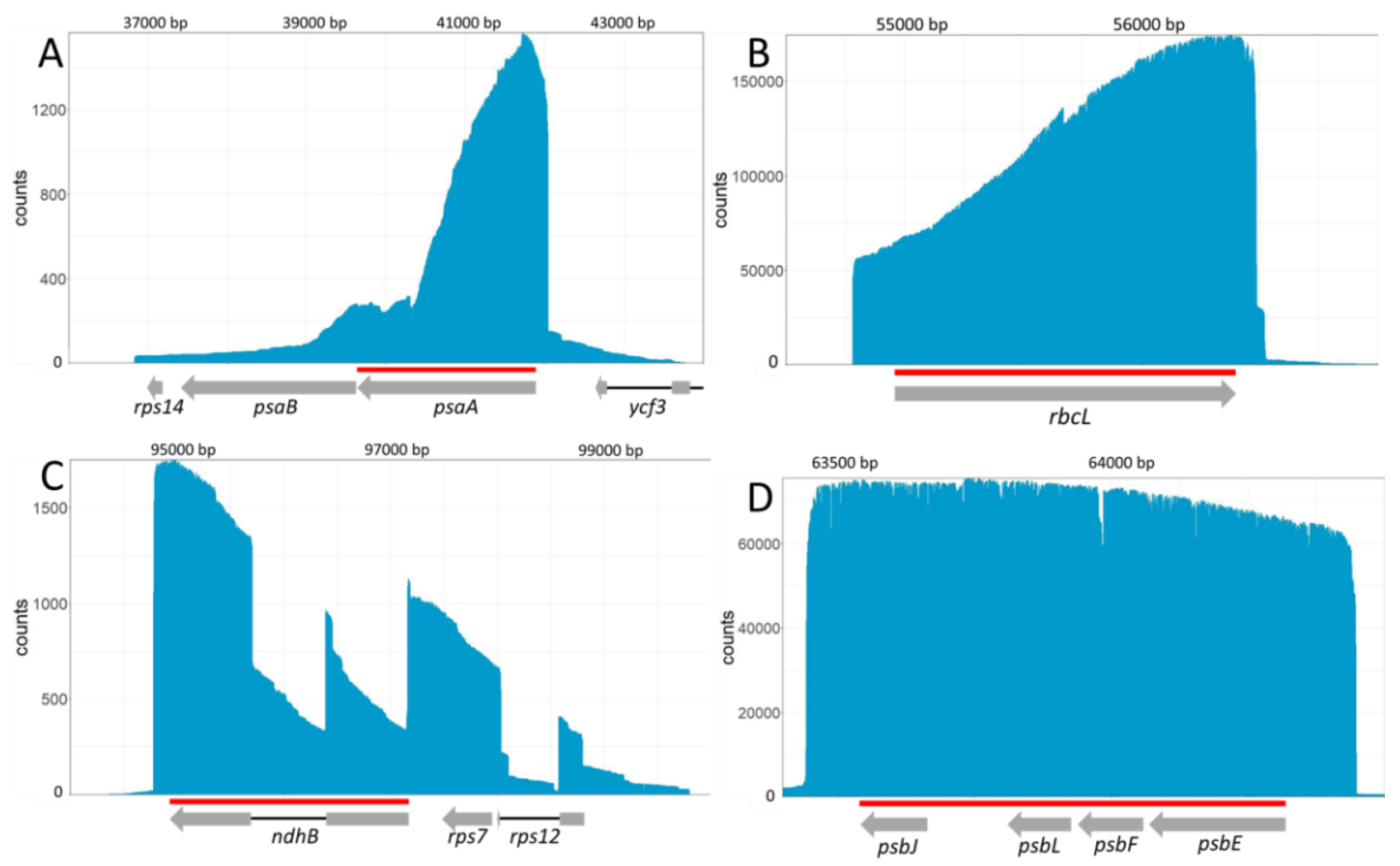 Ijms 22 11297 g004 Ijms 22 11297 g004
