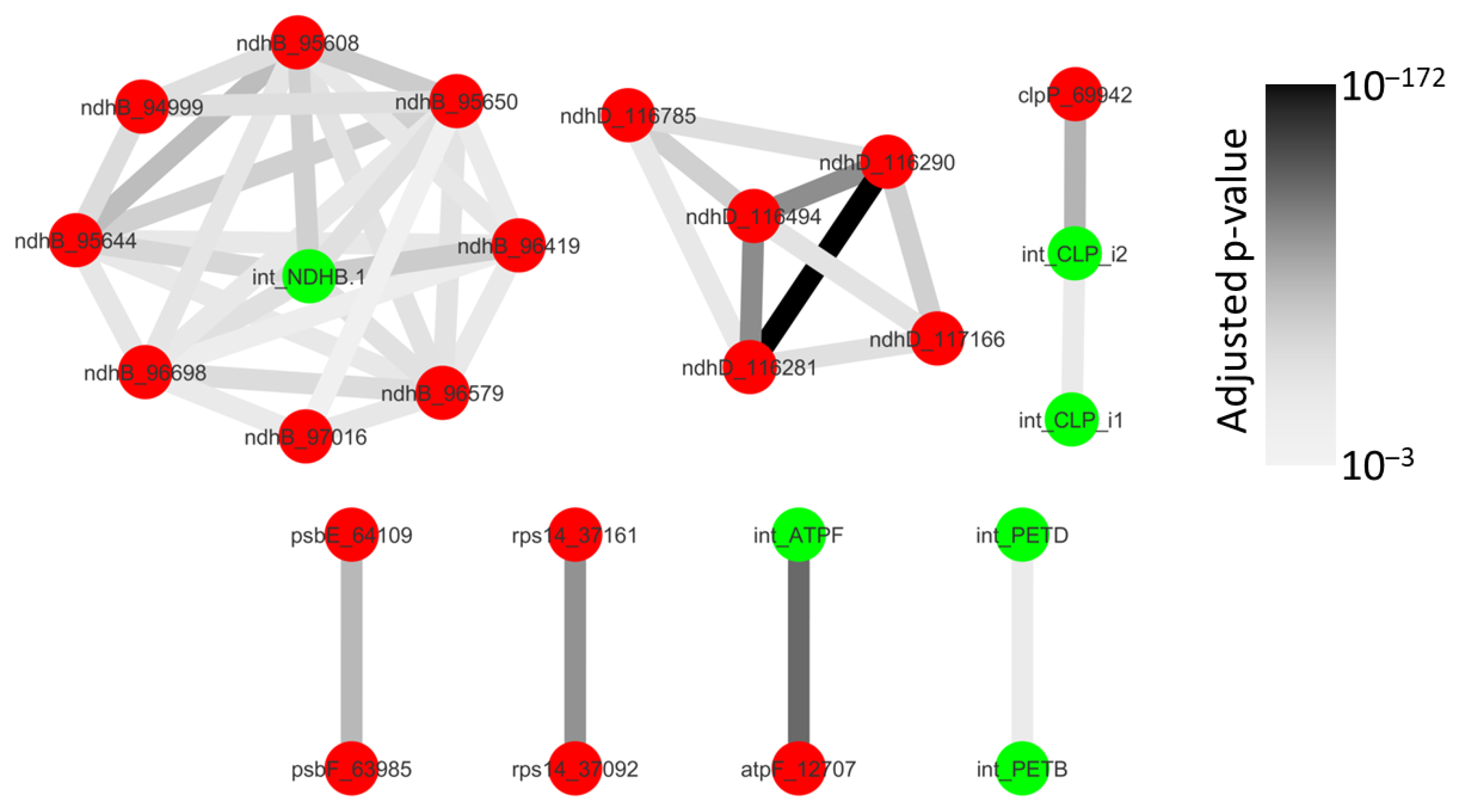 Ijms 22 11297 g005 Ijms 22 11297 g005