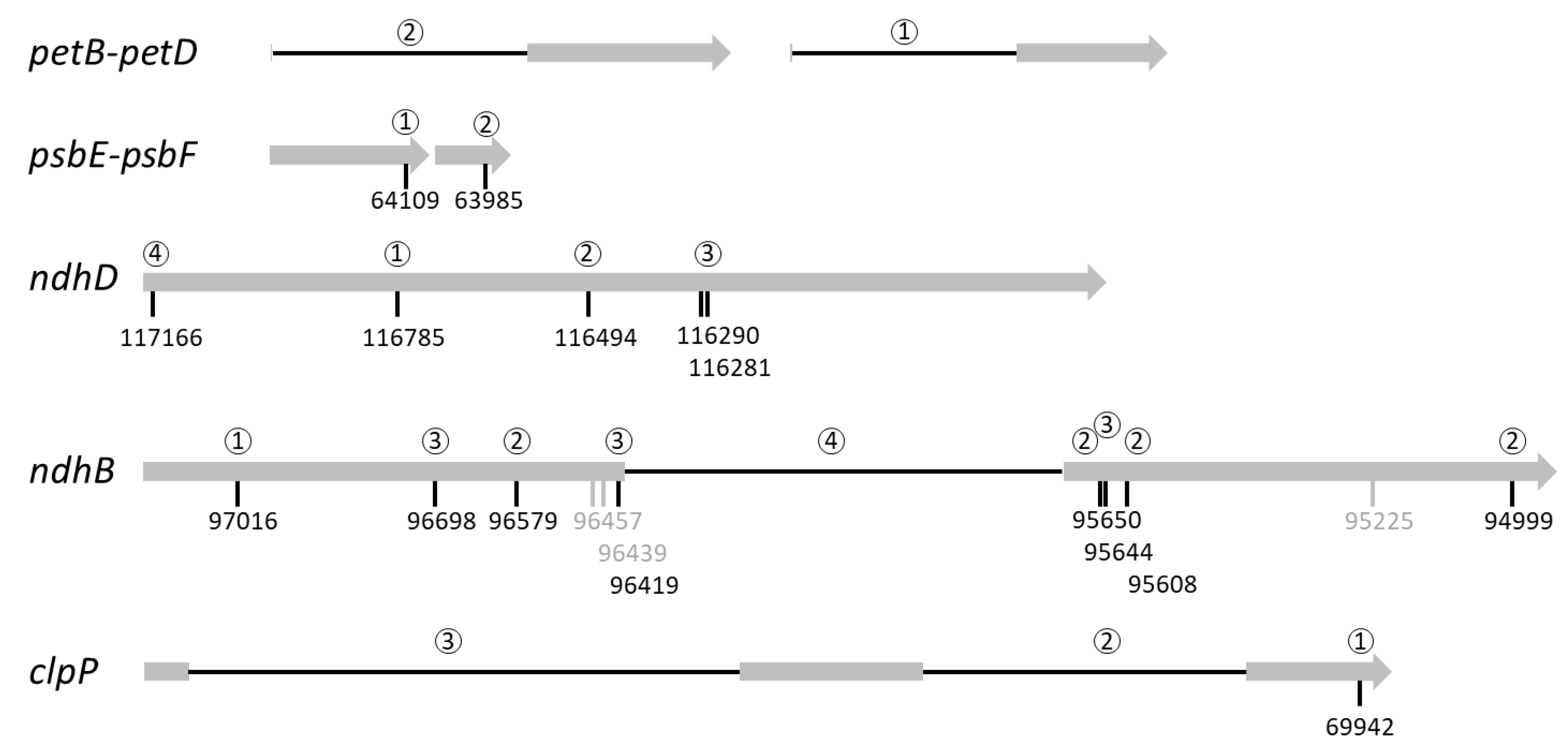 Ijms 22 11297 g006 Ijms 22 11297 g006