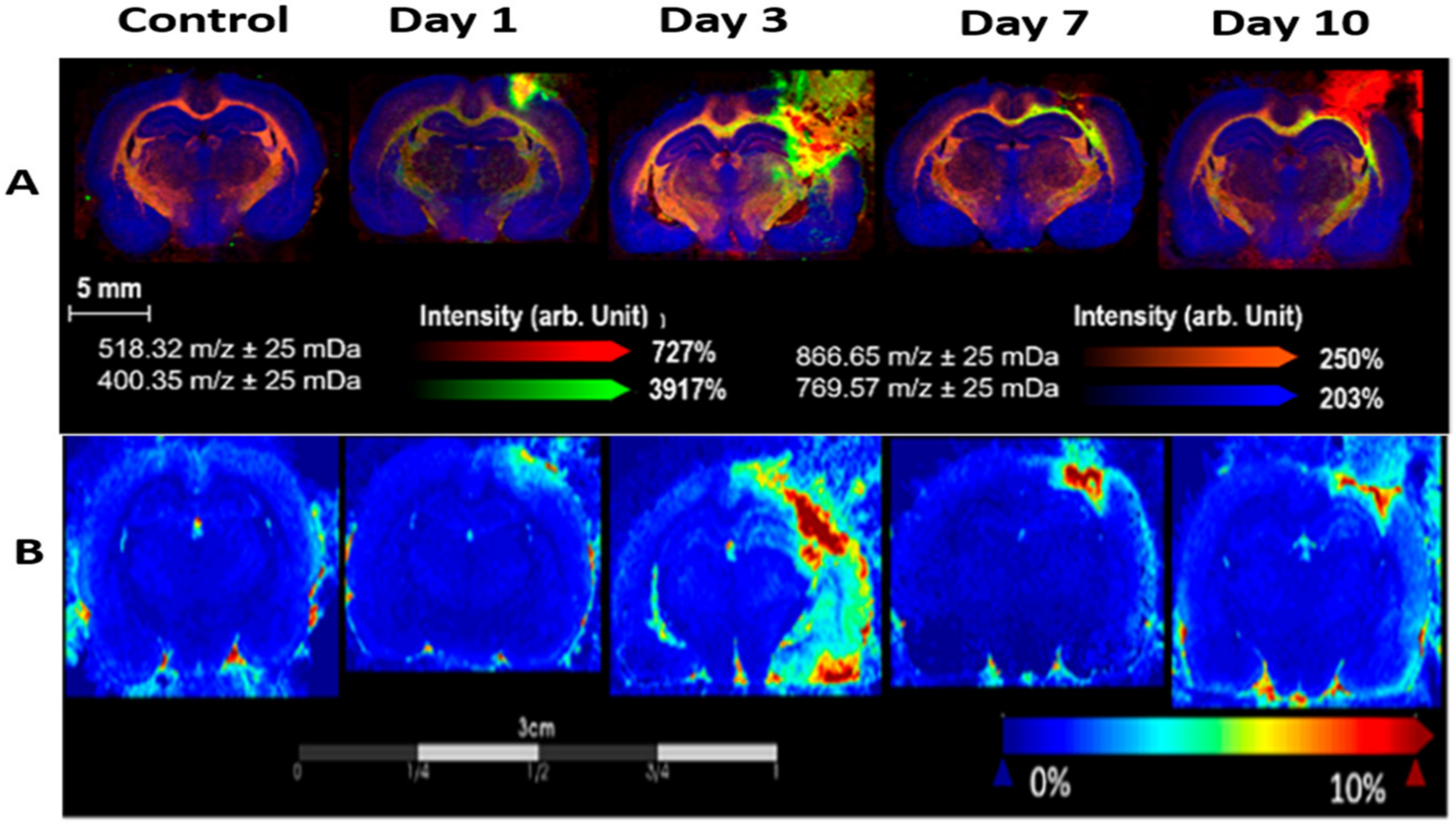 Ijms 22 11313 g006 Ijms 22 11313 g006