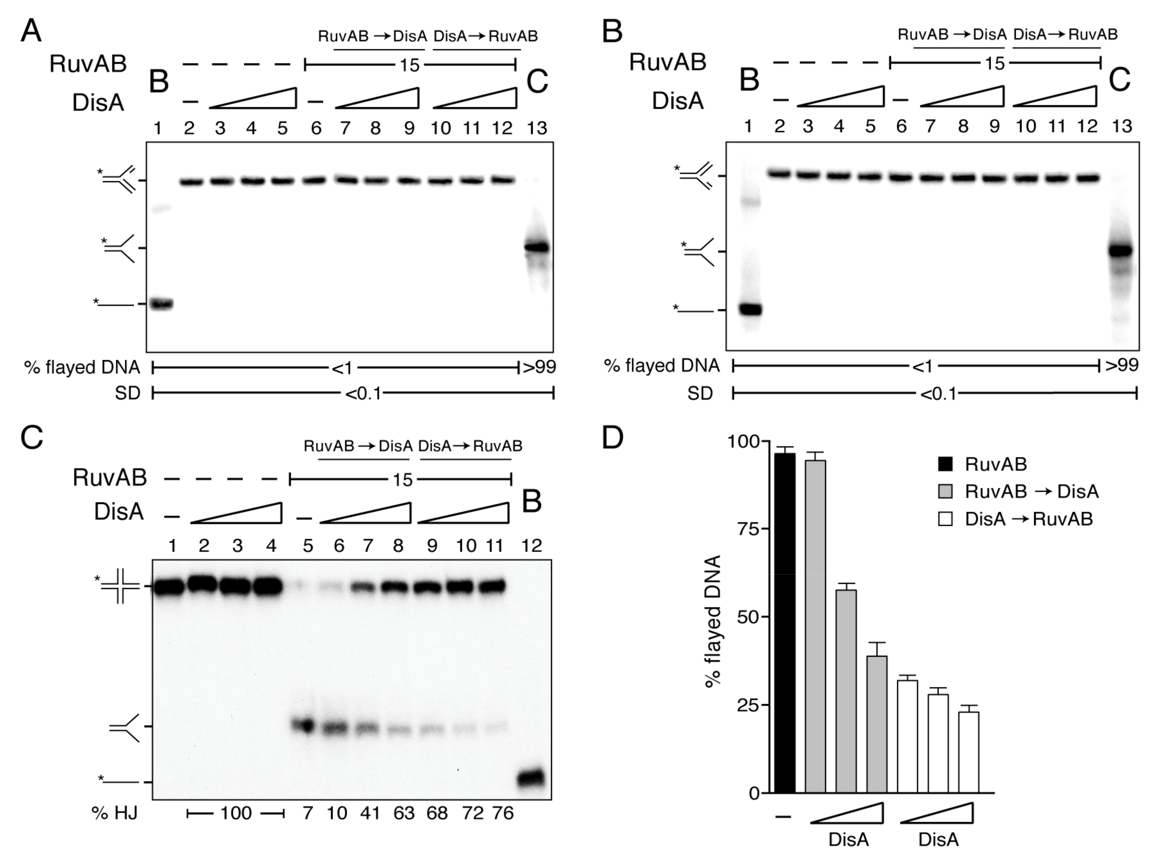 Ijms 22 11323 g003 Ijms 22 11323 g003