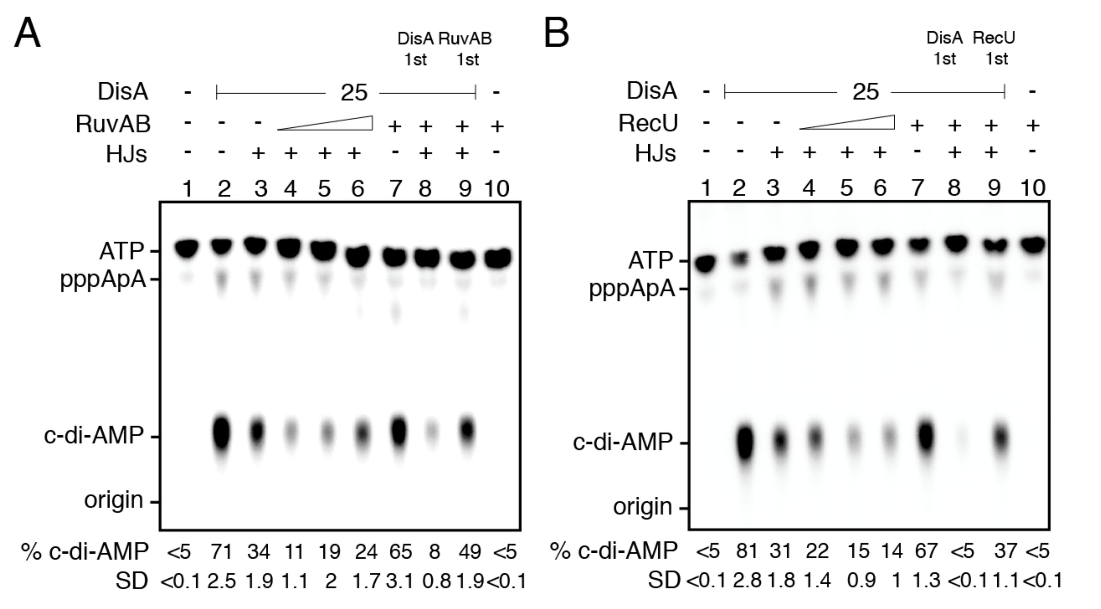 Ijms 22 11323 g006 Ijms 22 11323 g006