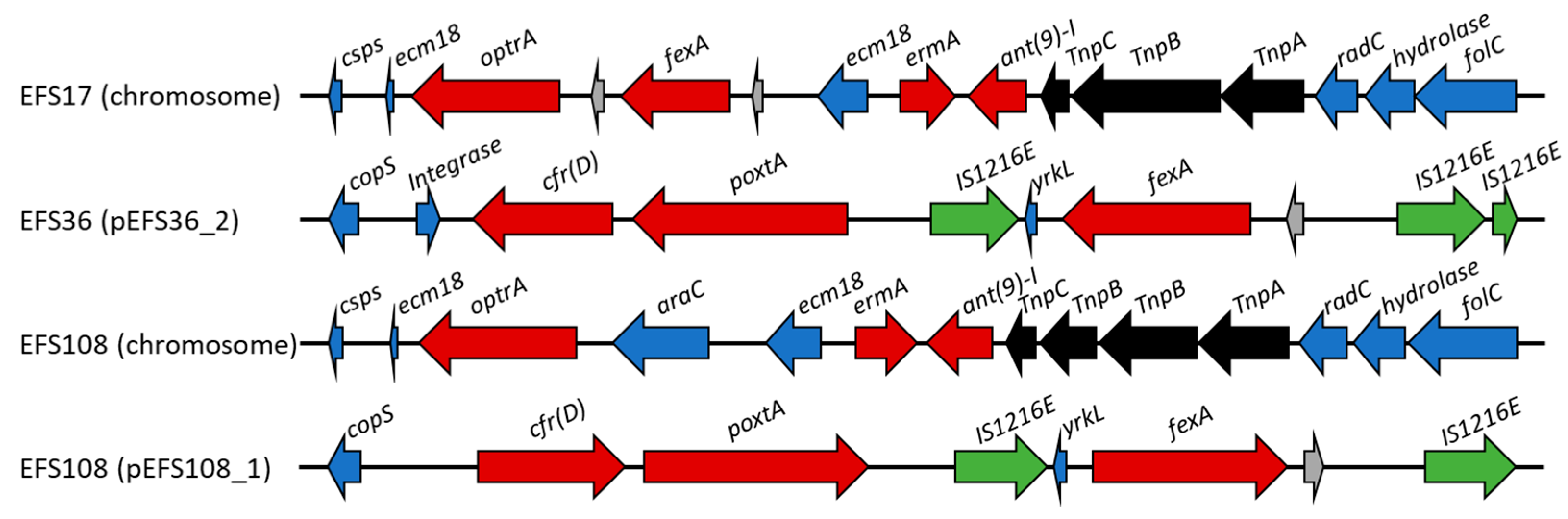 Ijms 22 11335 g002 Ijms 22 11335 g002