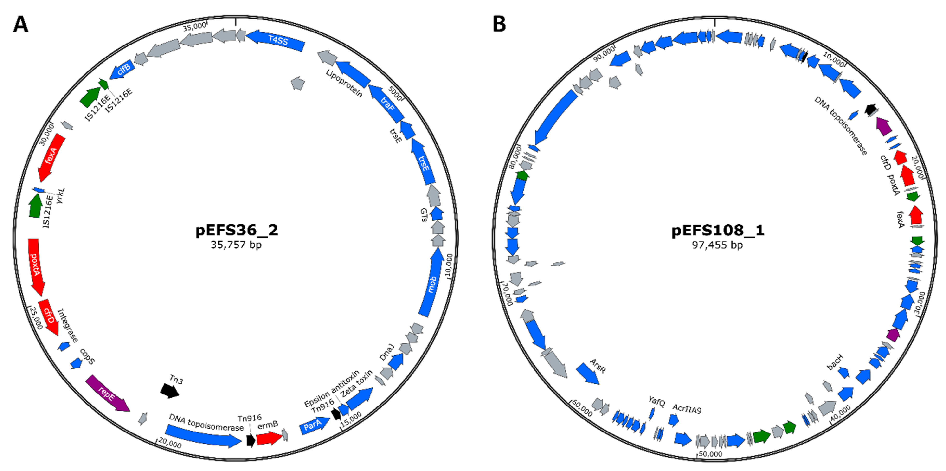 Ijms 22 11335 g003 Ijms 22 11335 g003
