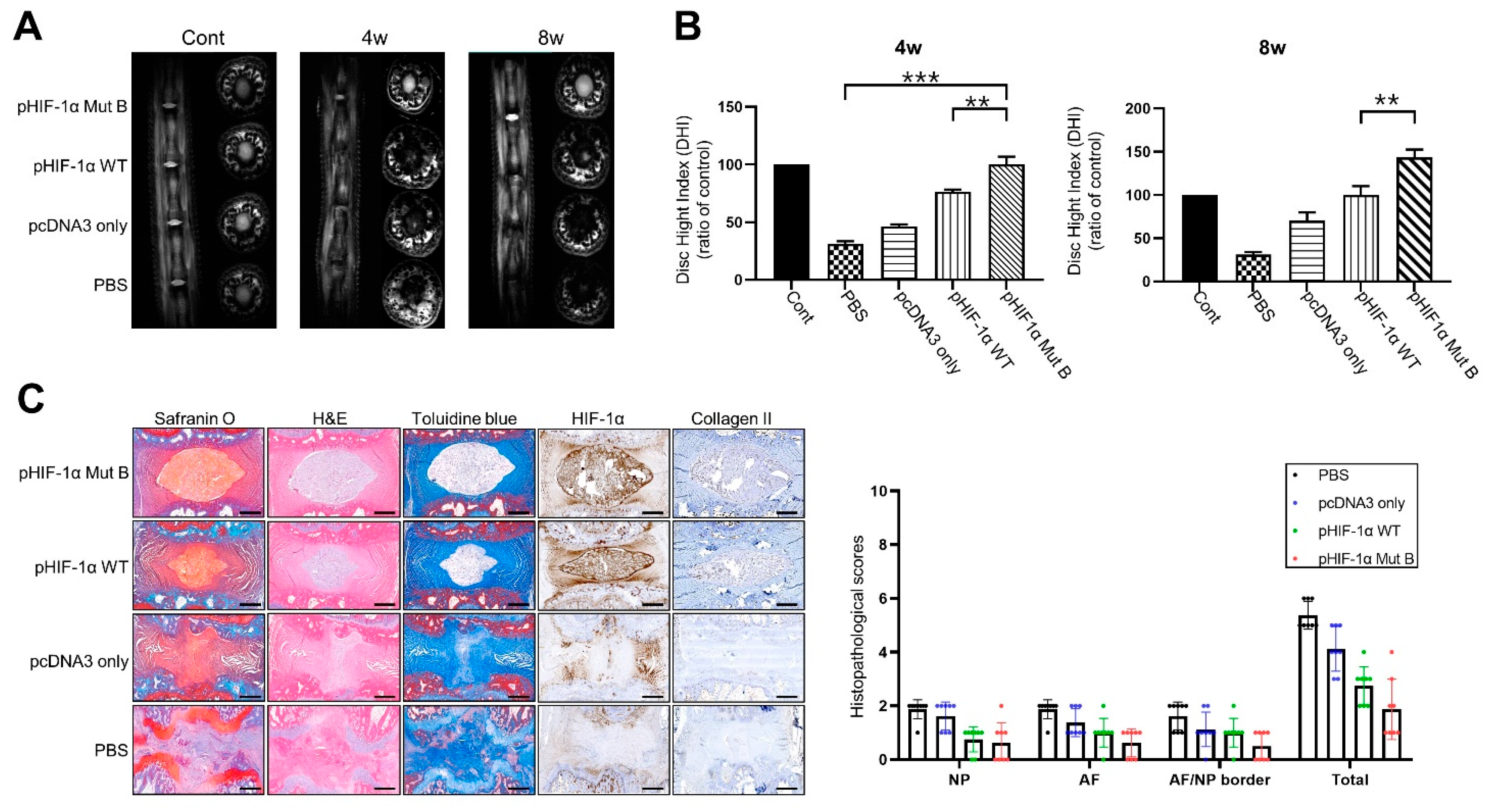 Ijms 22 11355 g004 Ijms 22 11355 g004