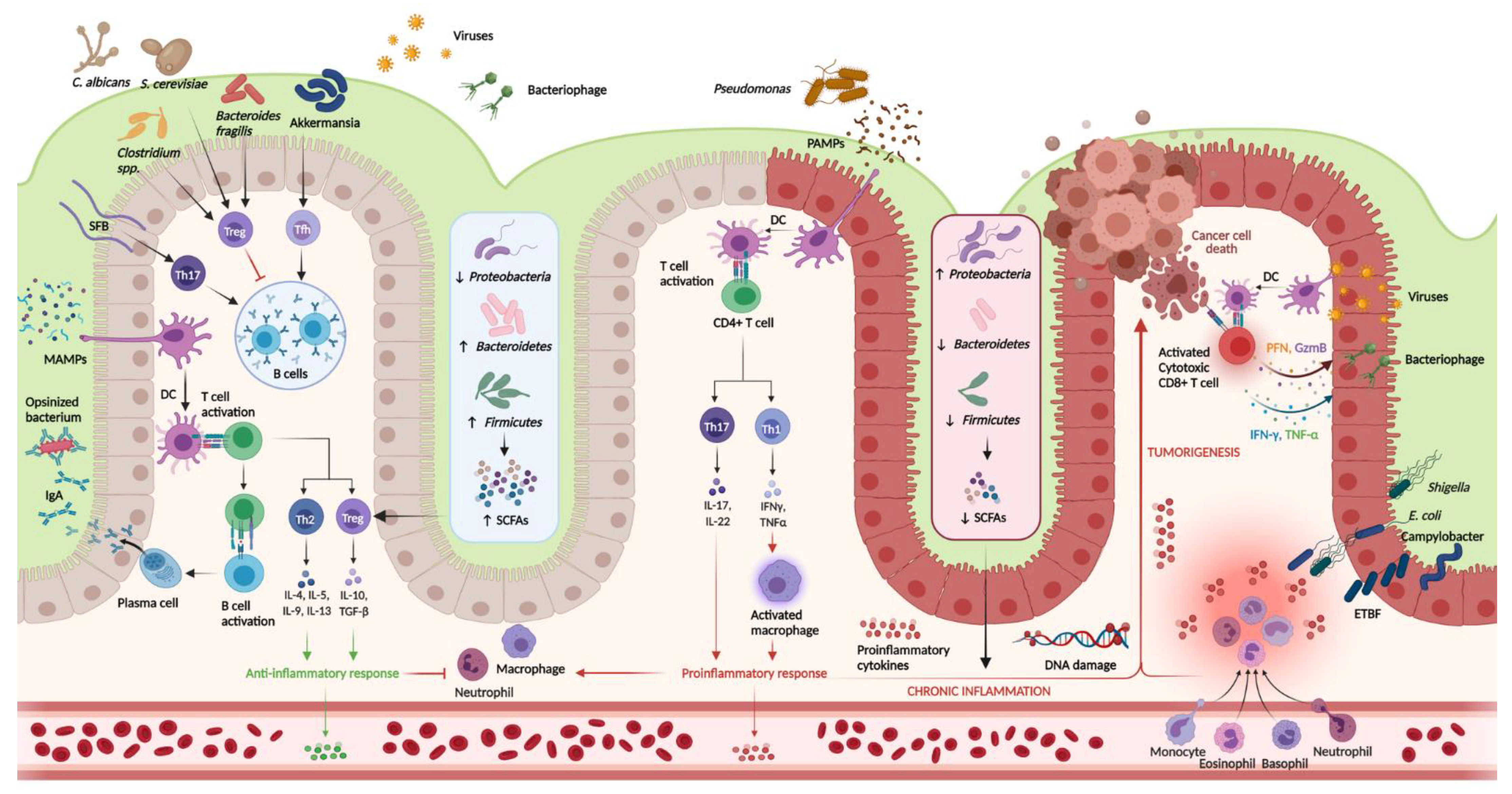 Ijms 22 11365 g001 Ijms 22 11365 g001