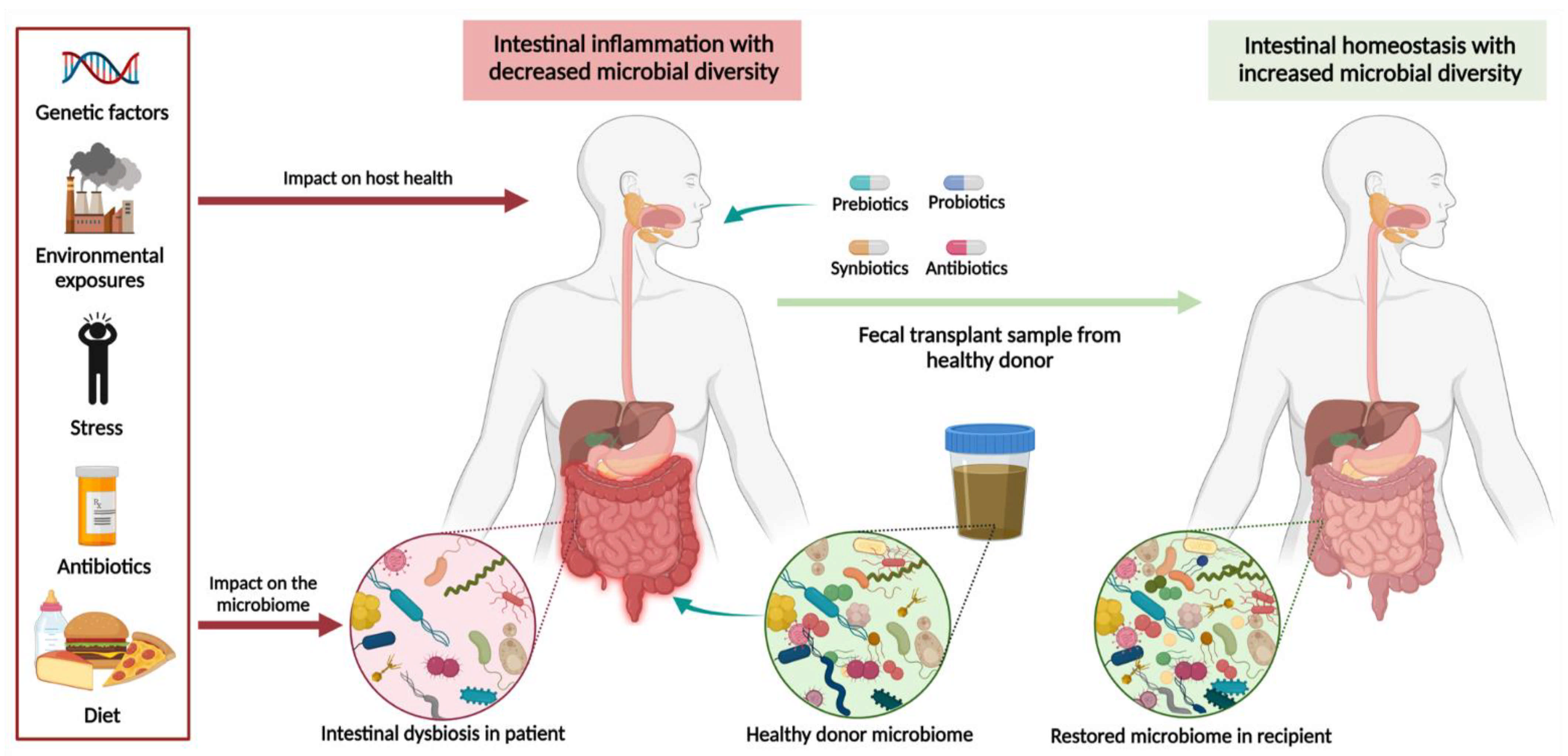 Ijms 22 11365 g002 Ijms 22 11365 g002