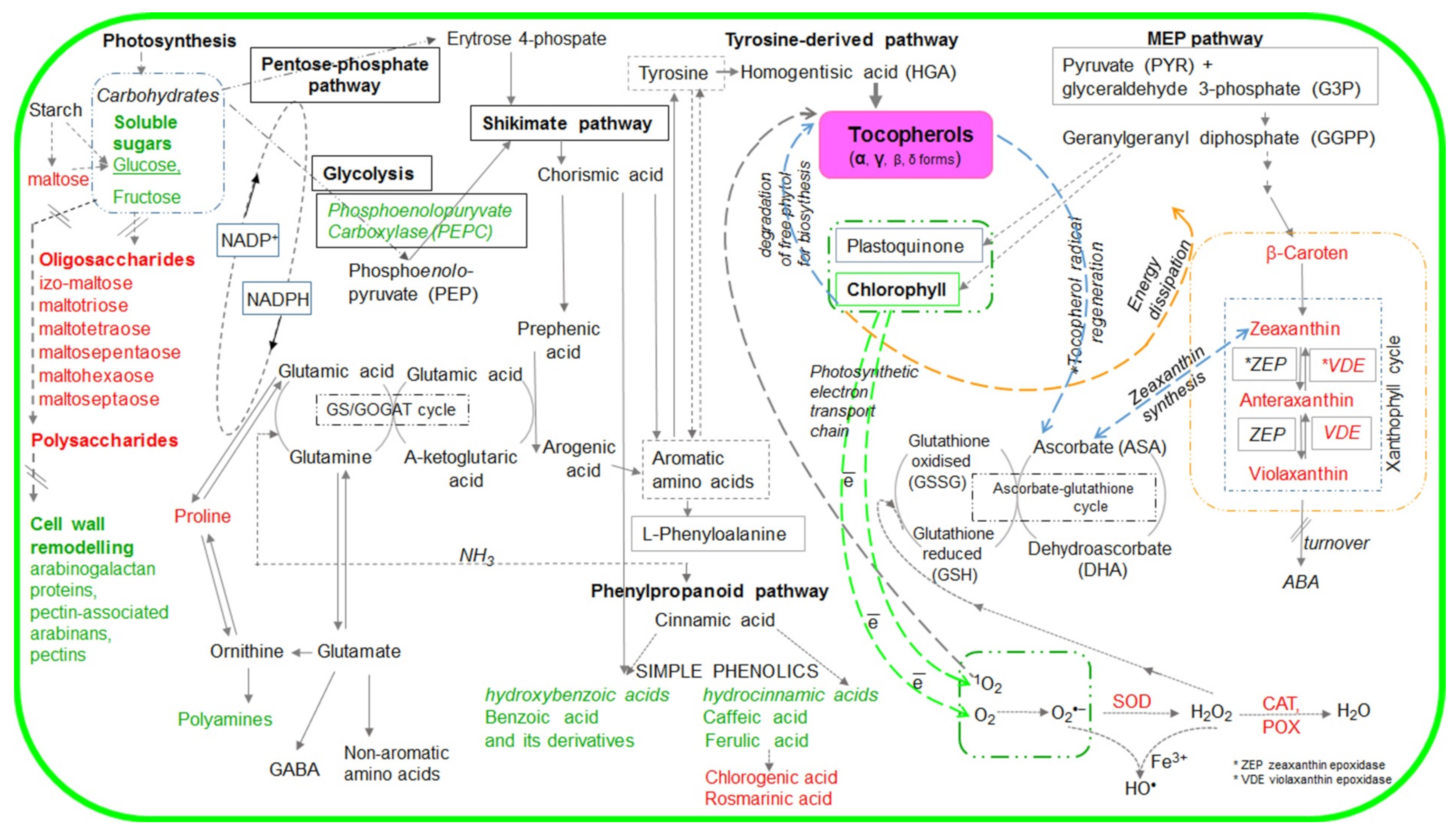 Ijms 22 11370 sch001