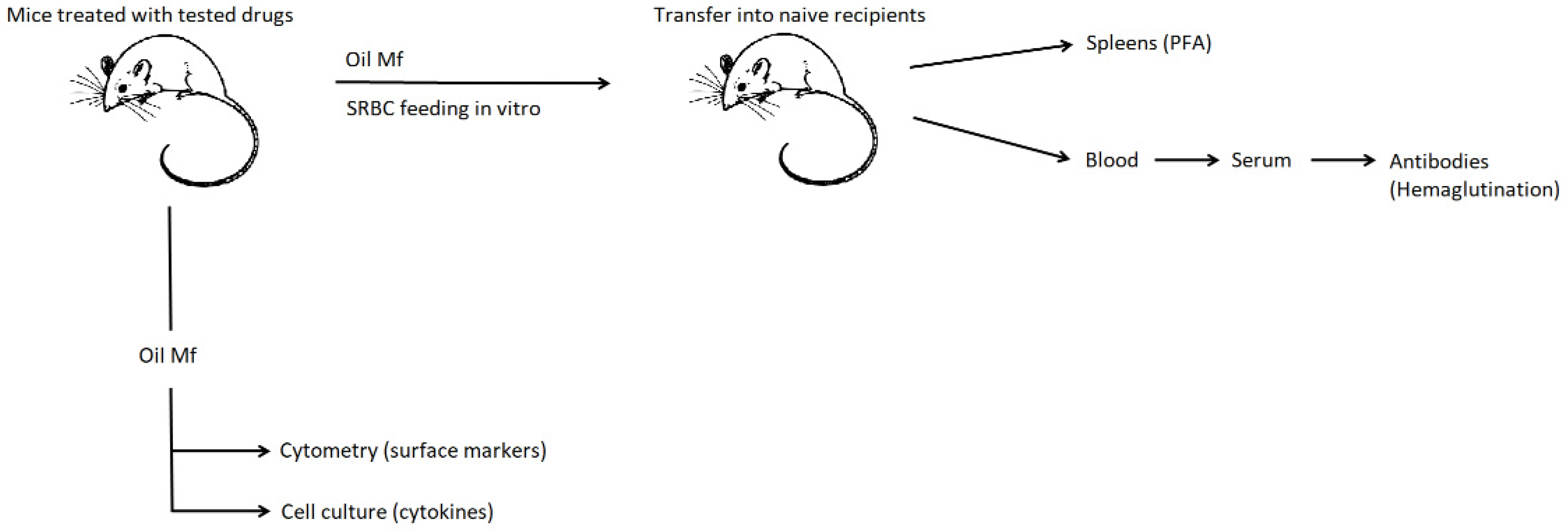 Ijms 22 11374 sch001