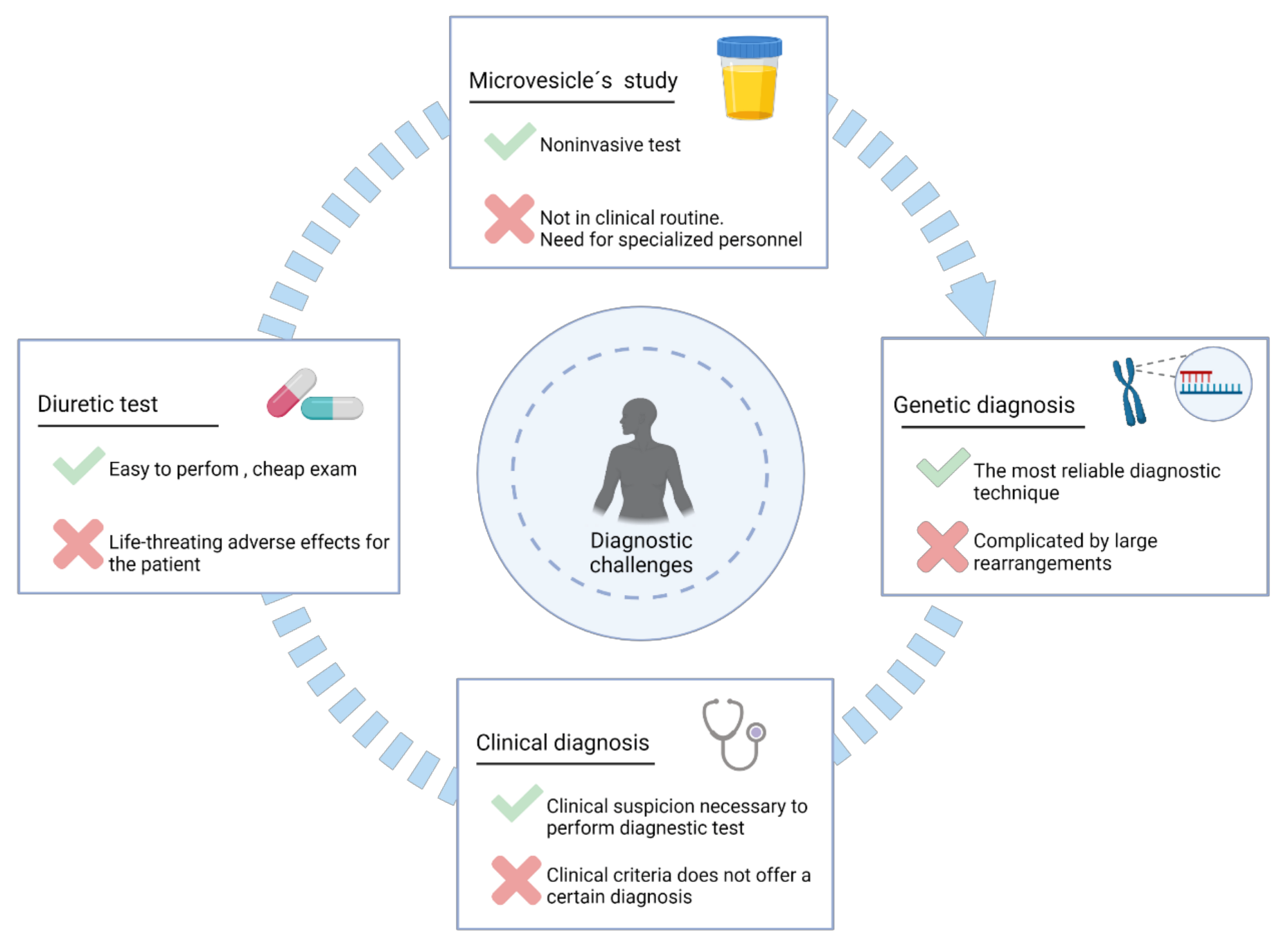 Ijms 22 11414 g002 Ijms 22 11414 g002