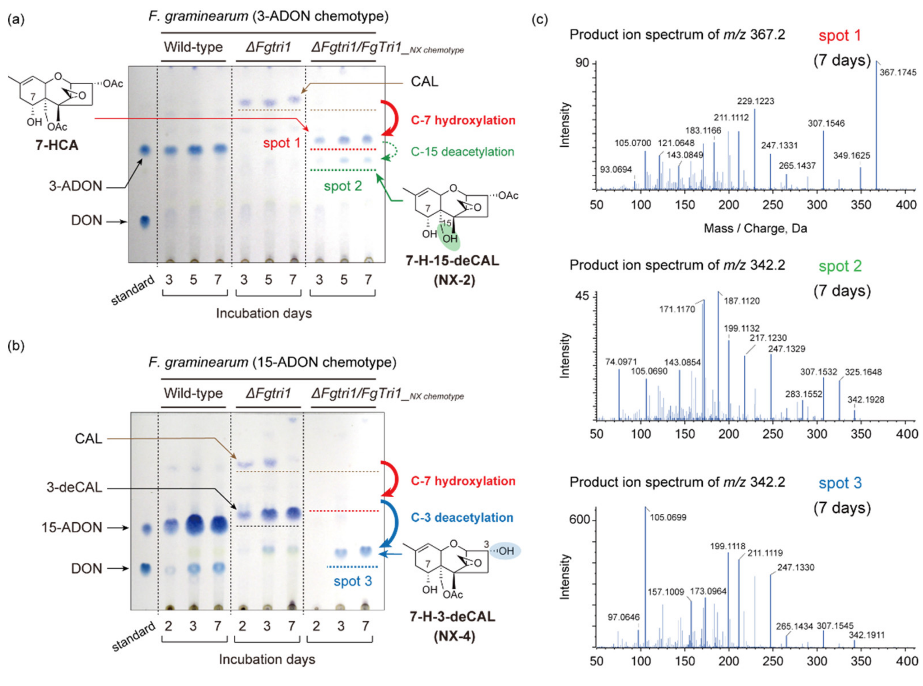 Ijms 22 11428 g002 Ijms 22 11428 g002