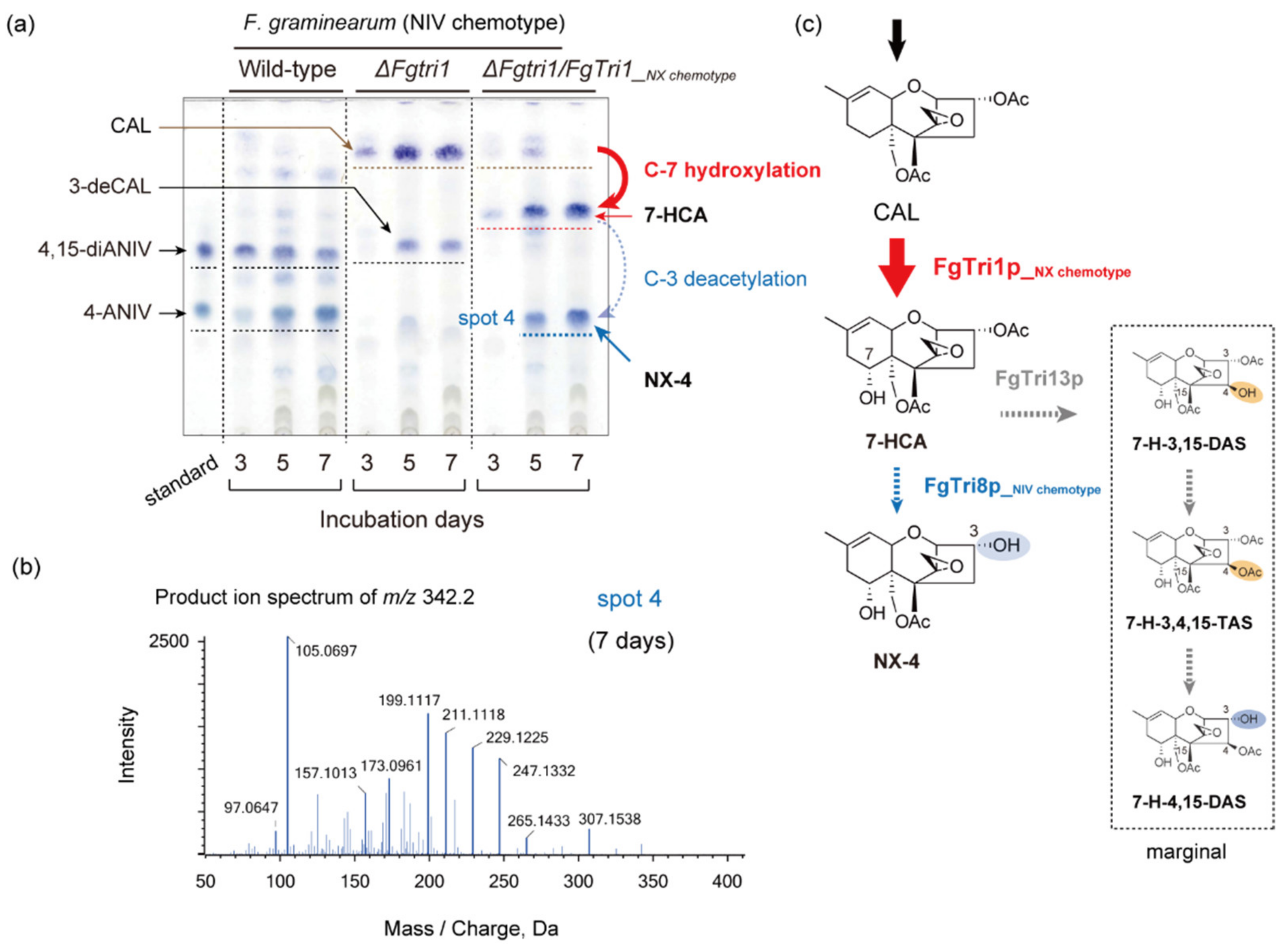 Ijms 22 11428 g003 Ijms 22 11428 g003