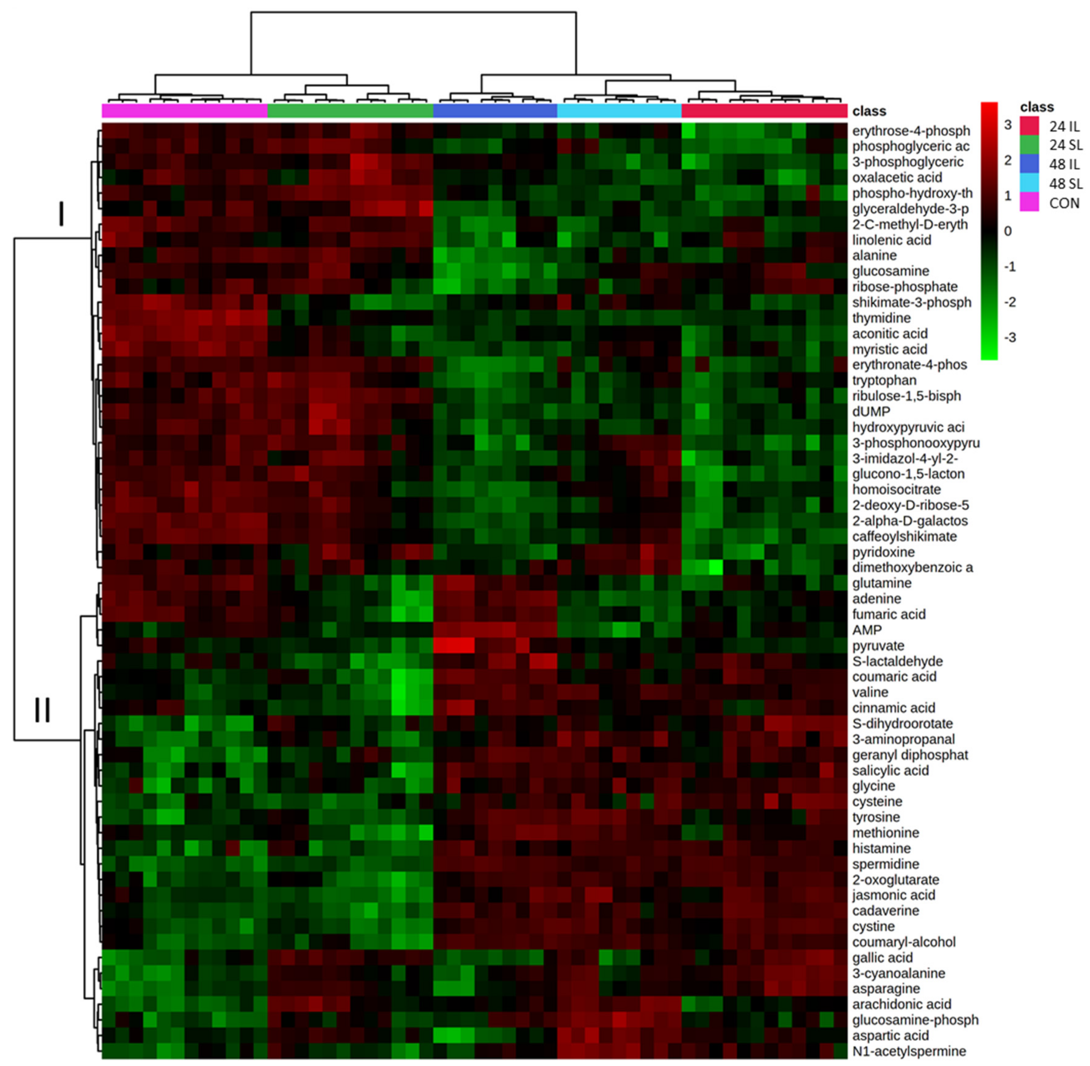 Ijms 22 11433 g002 Ijms 22 11433 g002