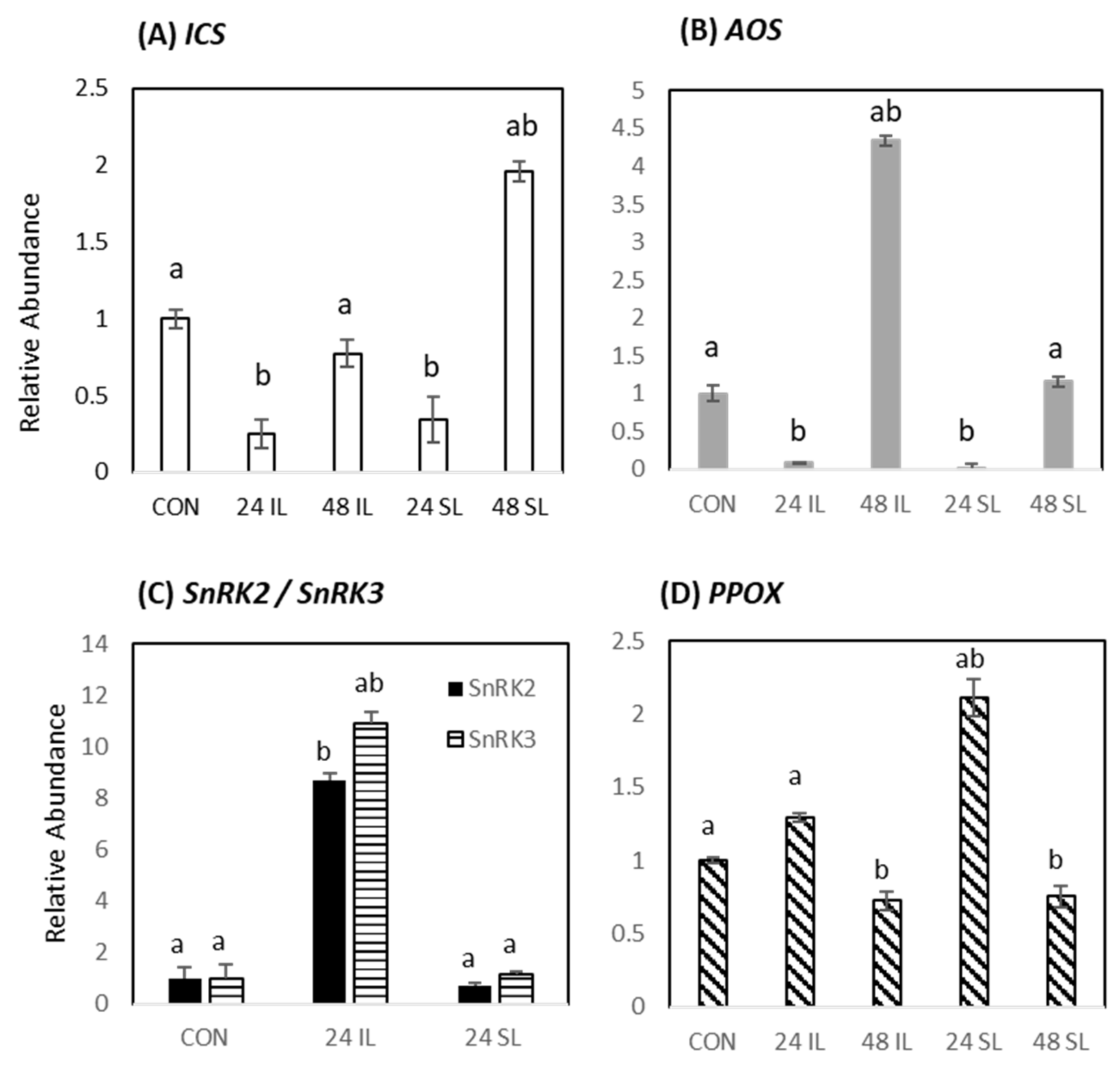 Ijms 22 11433 g005 Ijms 22 11433 g005