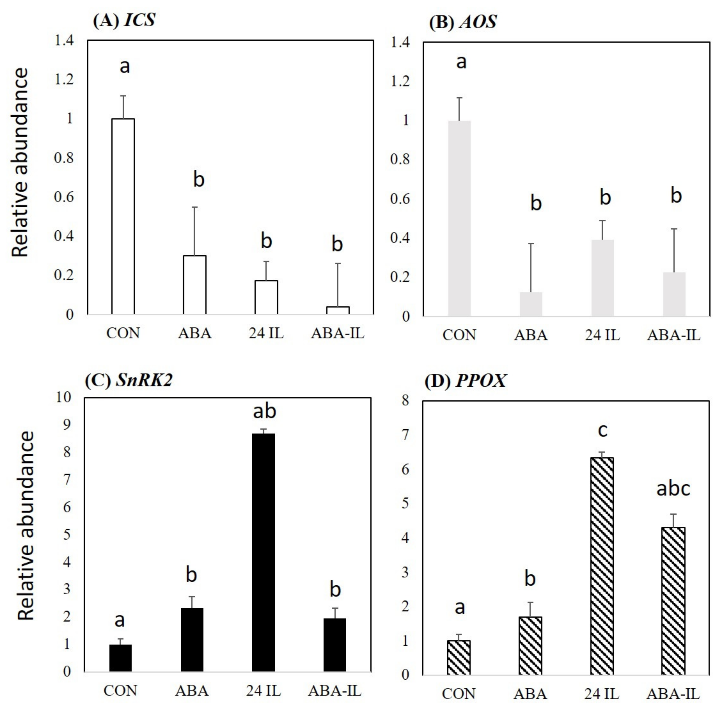 Ijms 22 11433 g006 Ijms 22 11433 g006