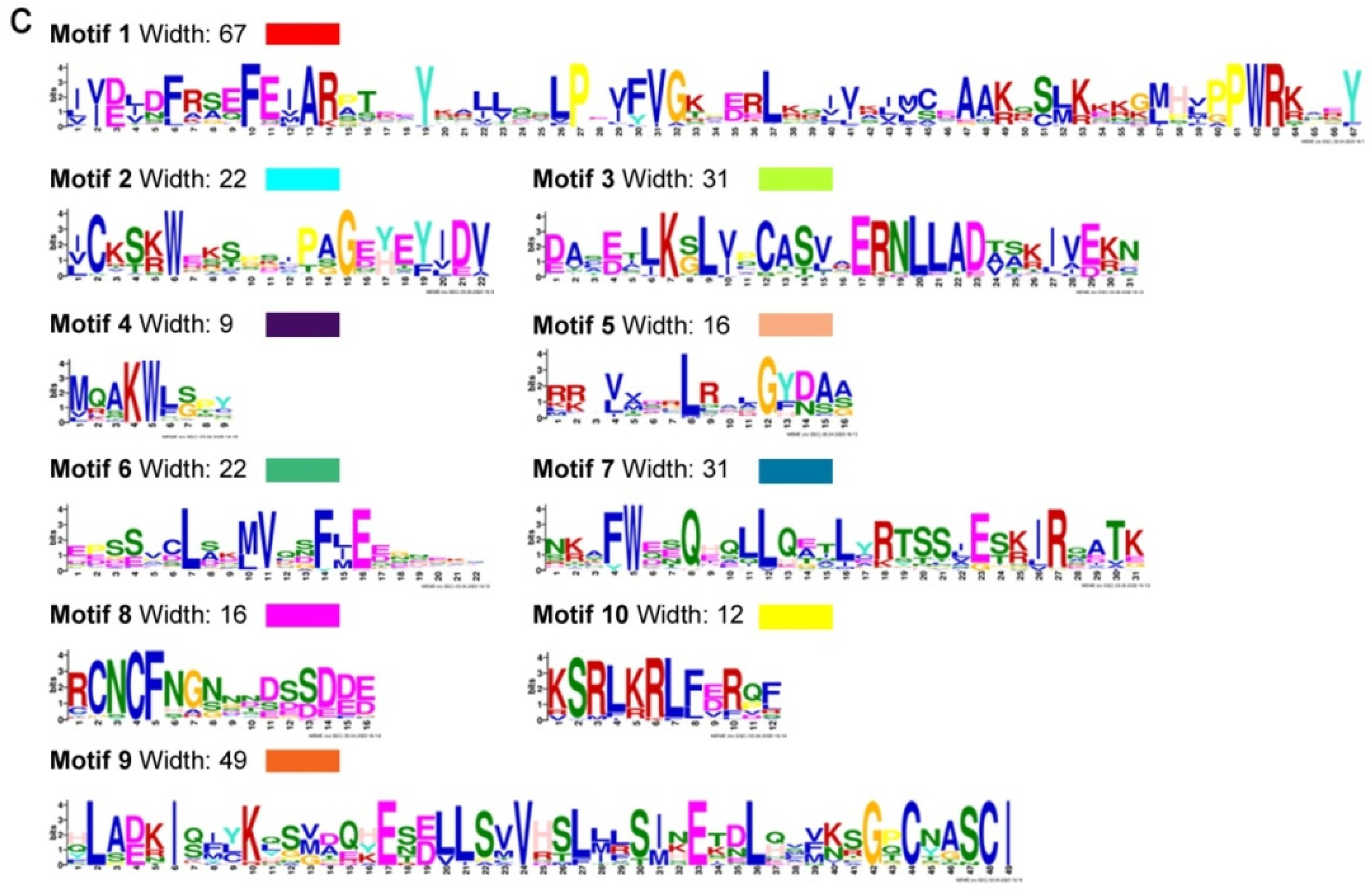 Ijms 22 11442 g002b Ijms 22 11442 g002b