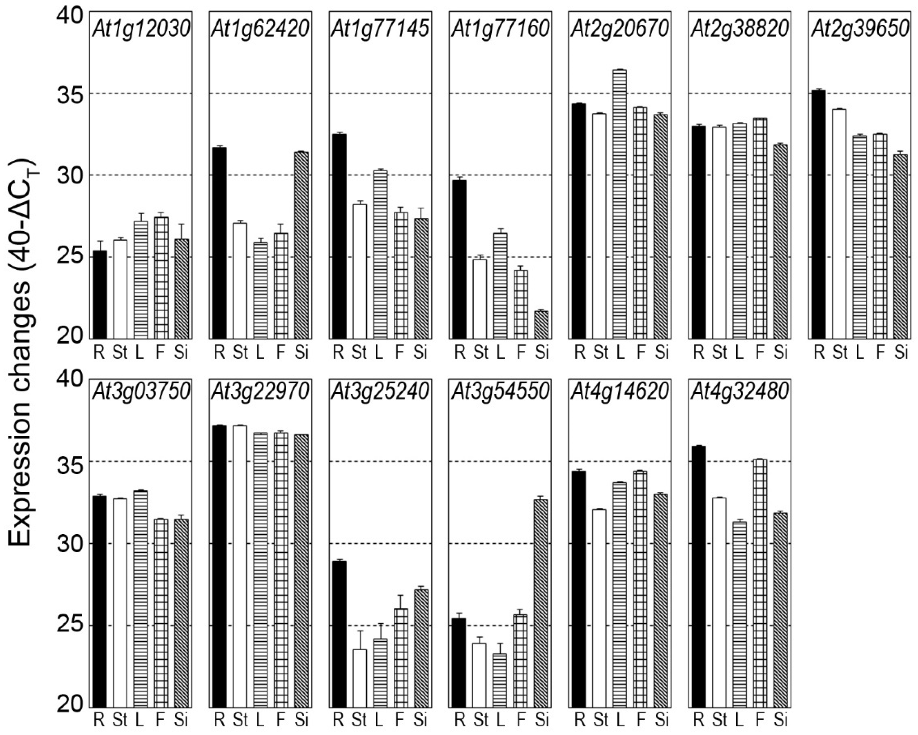 Ijms 22 11442 g005 Ijms 22 11442 g005