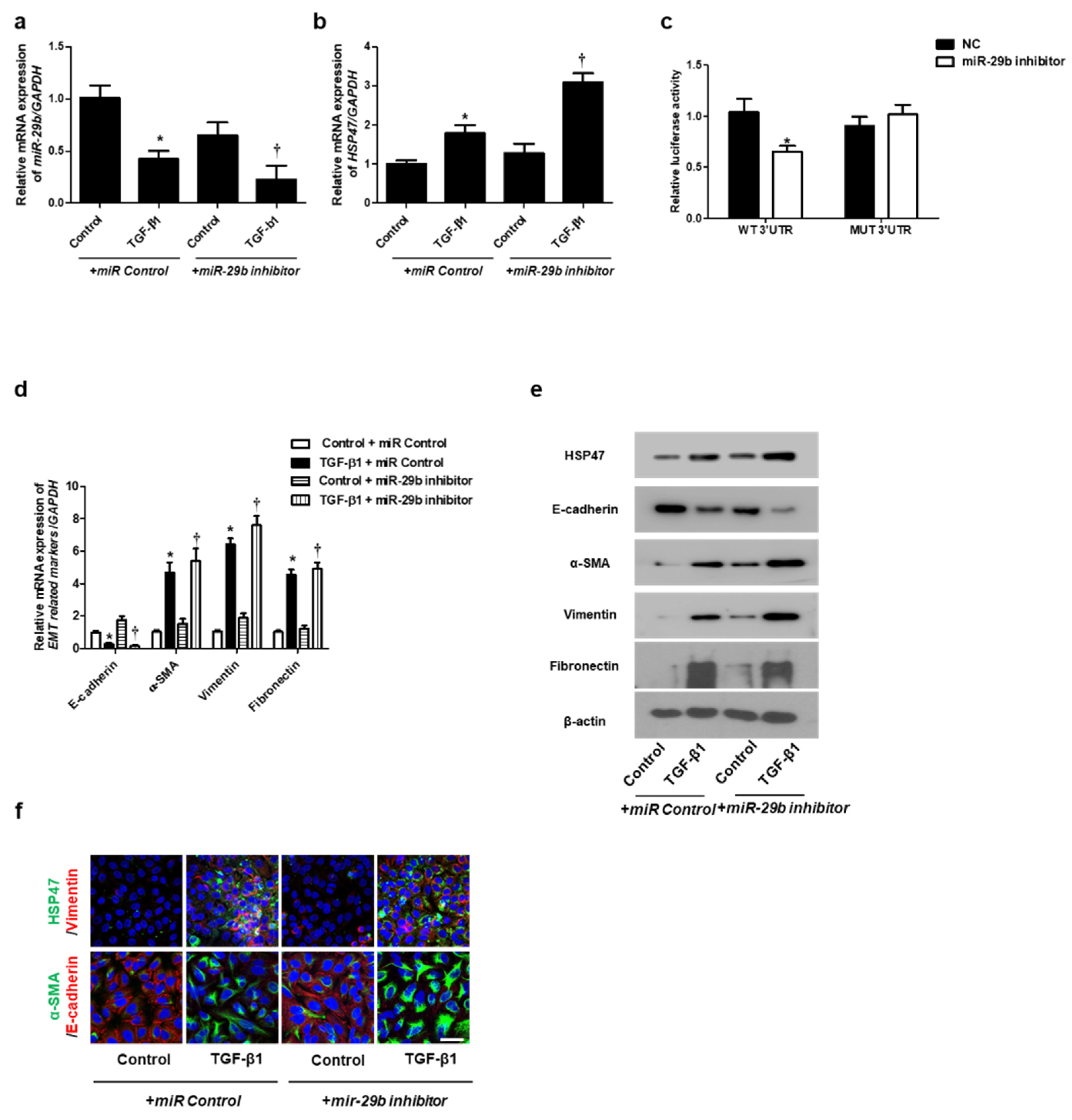 Ijms 22 11535 g003 Ijms 22 11535 g003