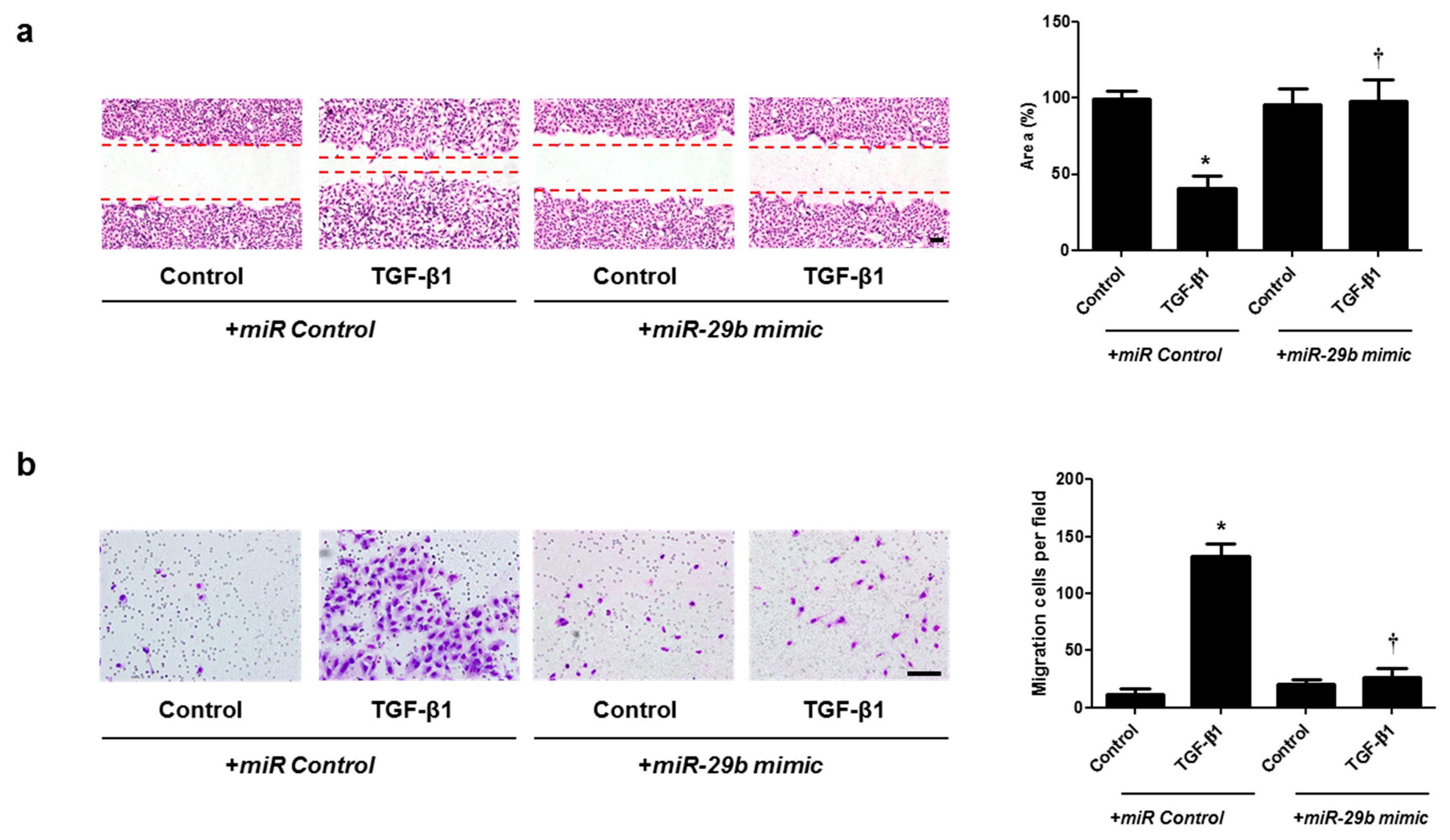 Ijms 22 11535 g005 Ijms 22 11535 g005