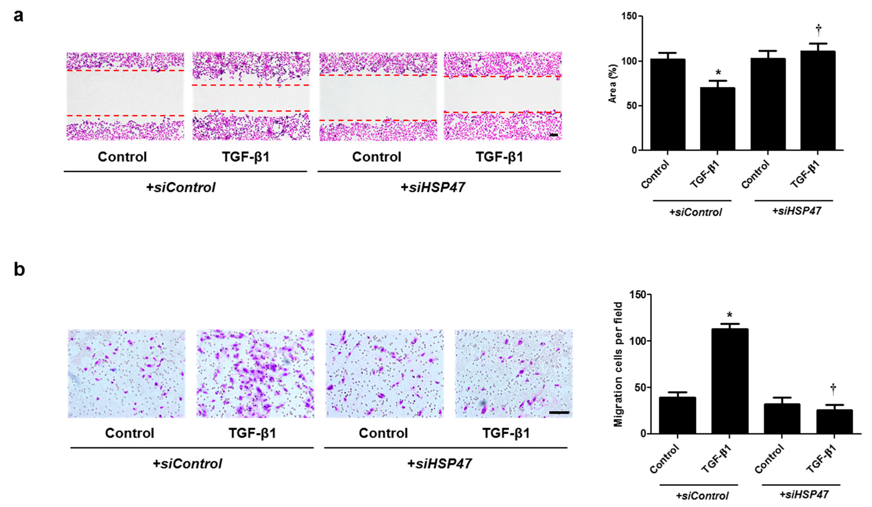 Ijms 22 11535 g006 Ijms 22 11535 g006