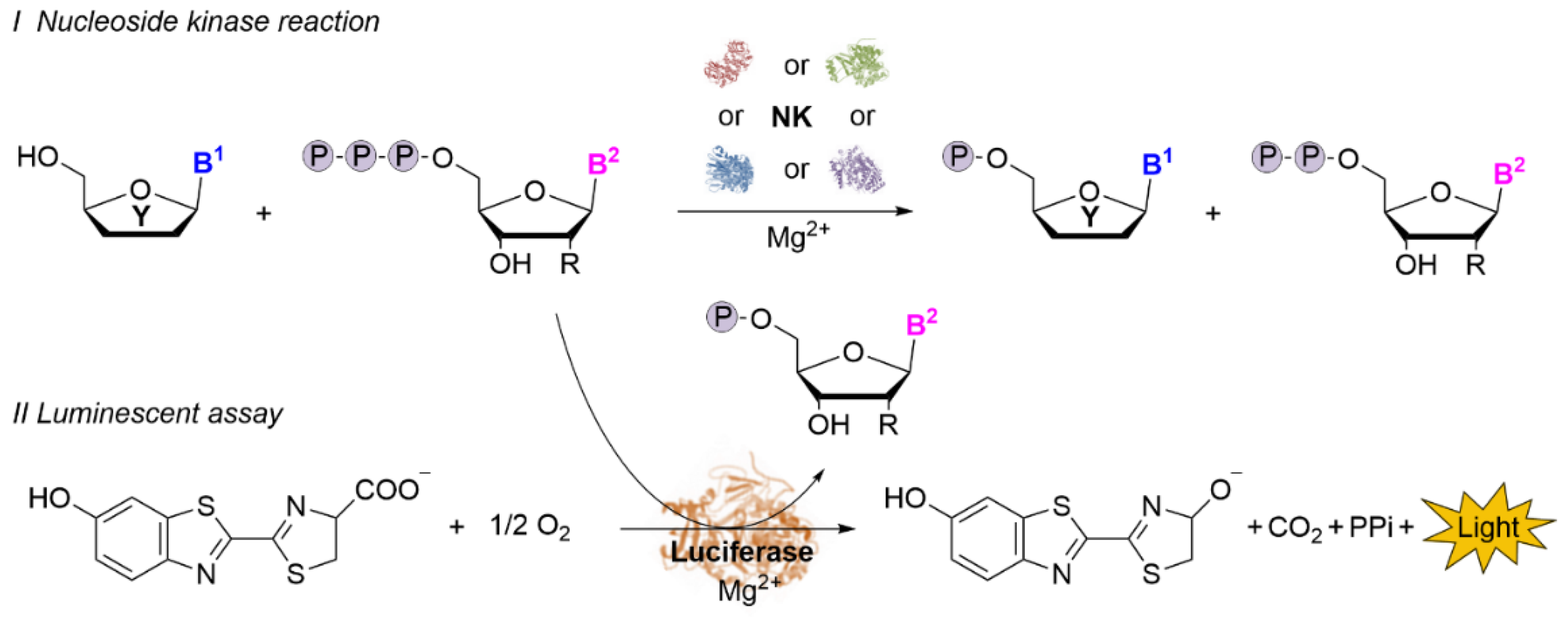 Ijms 22 11558 sch001