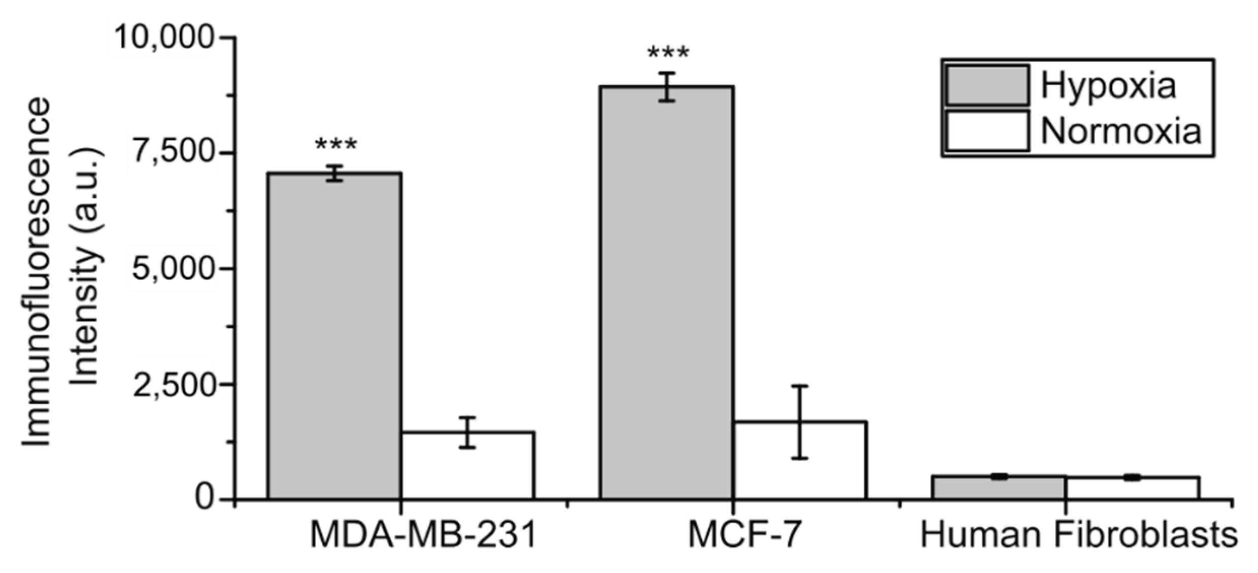 Ijms 22 11571 g002 Ijms 22 11571 g002