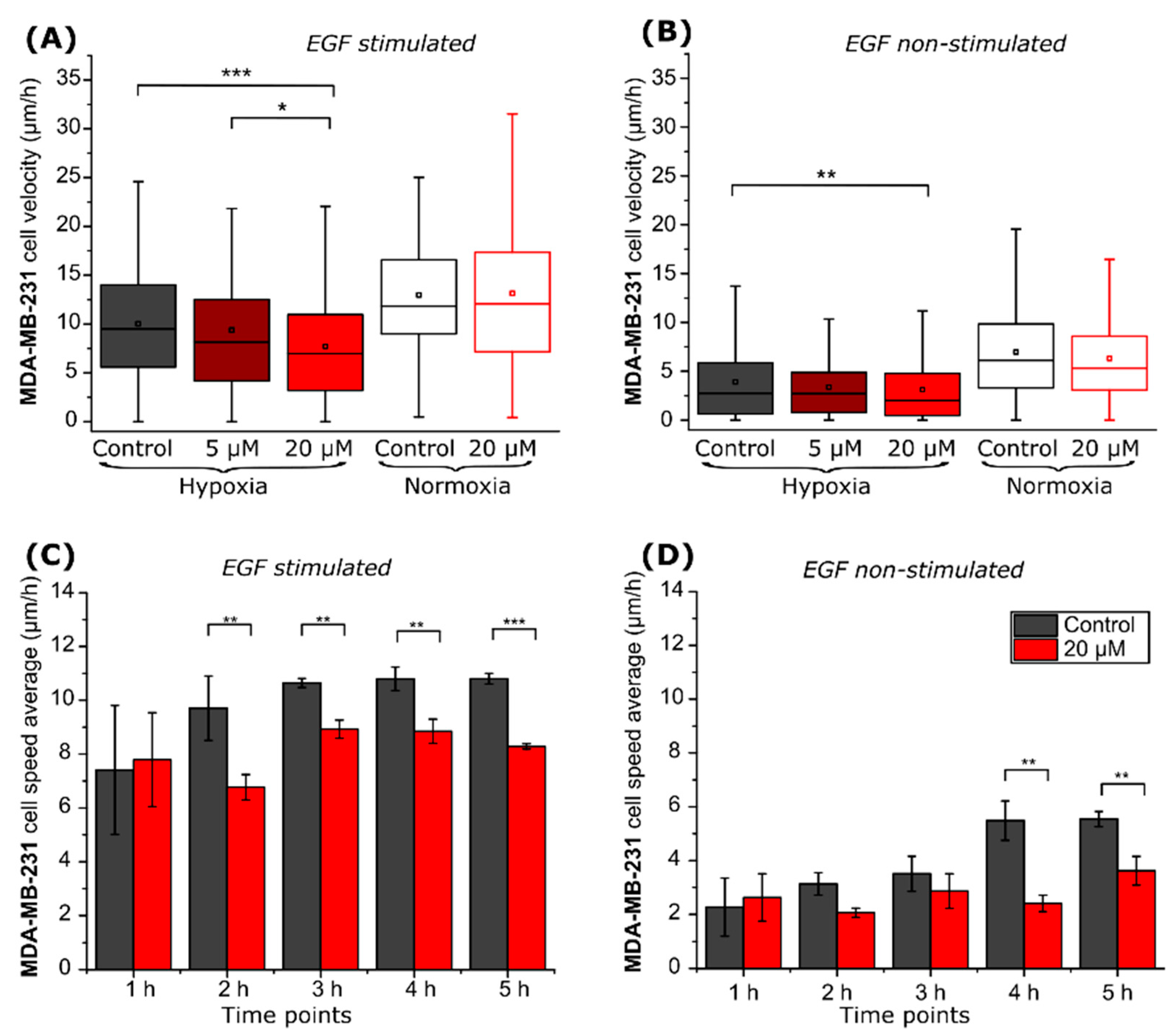 Ijms 22 11571 g004 Ijms 22 11571 g004