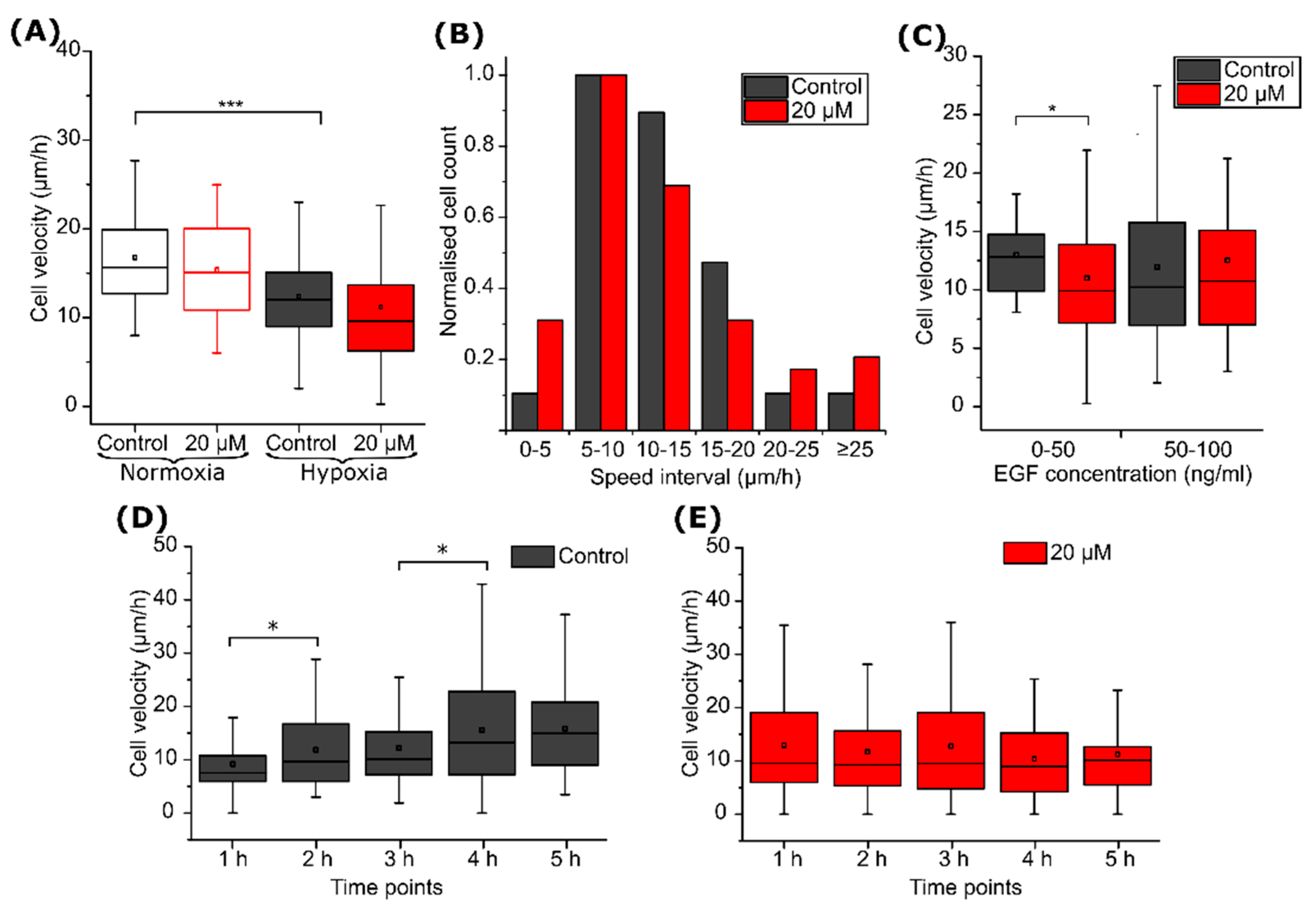 Ijms 22 11571 g007 Ijms 22 11571 g007