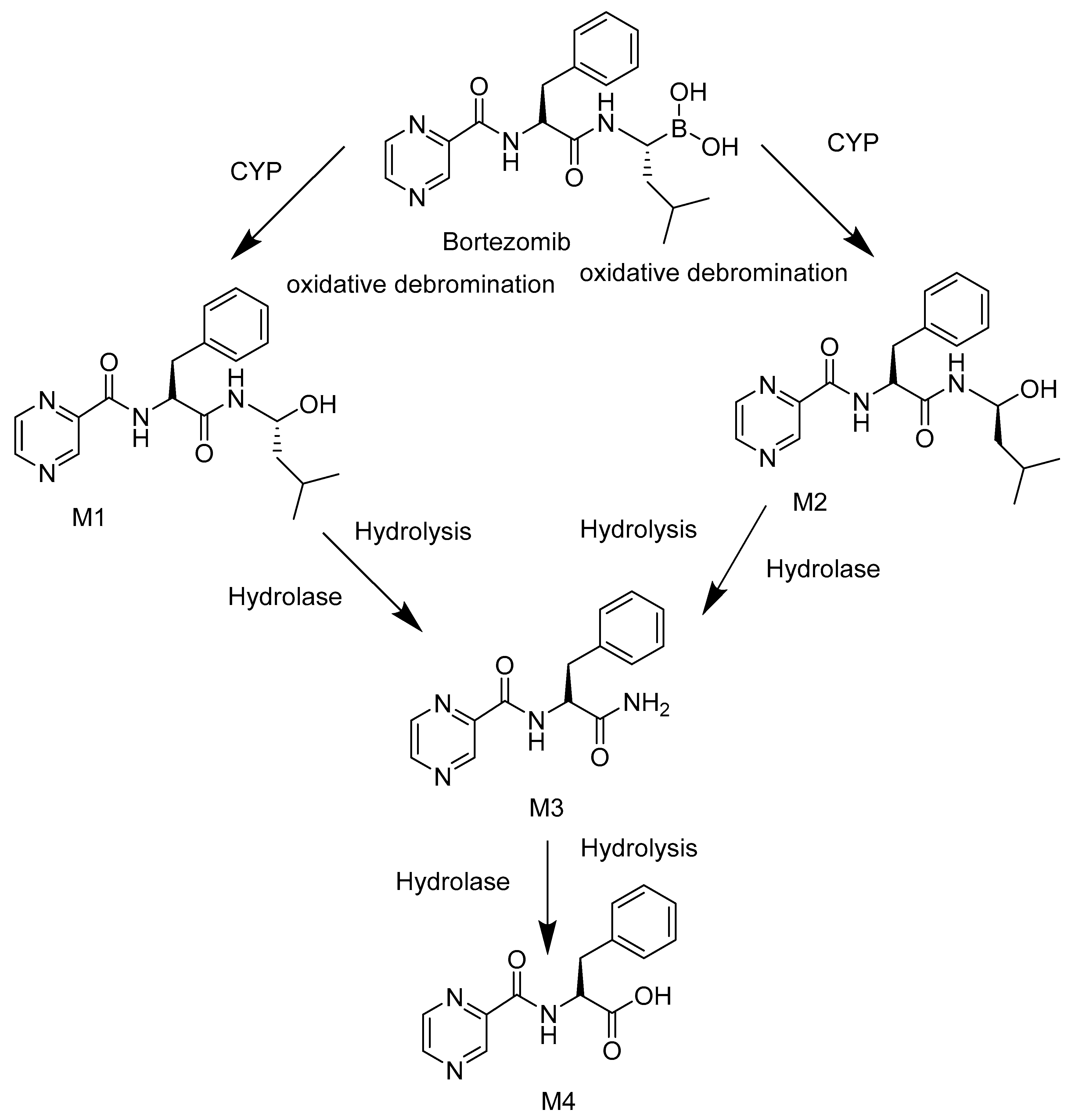 Ijms 22 11595 sch001