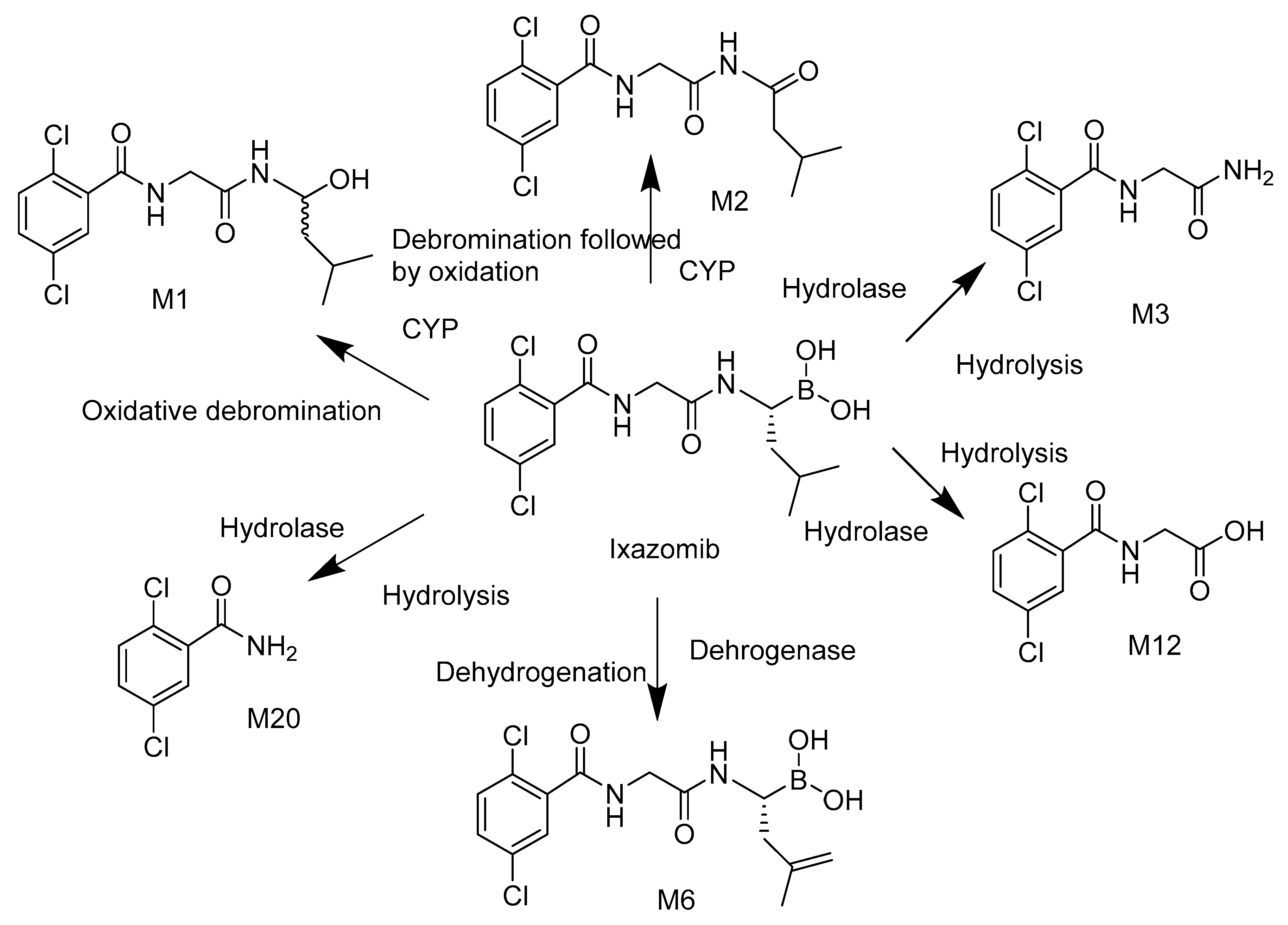 Ijms 22 11595 sch002