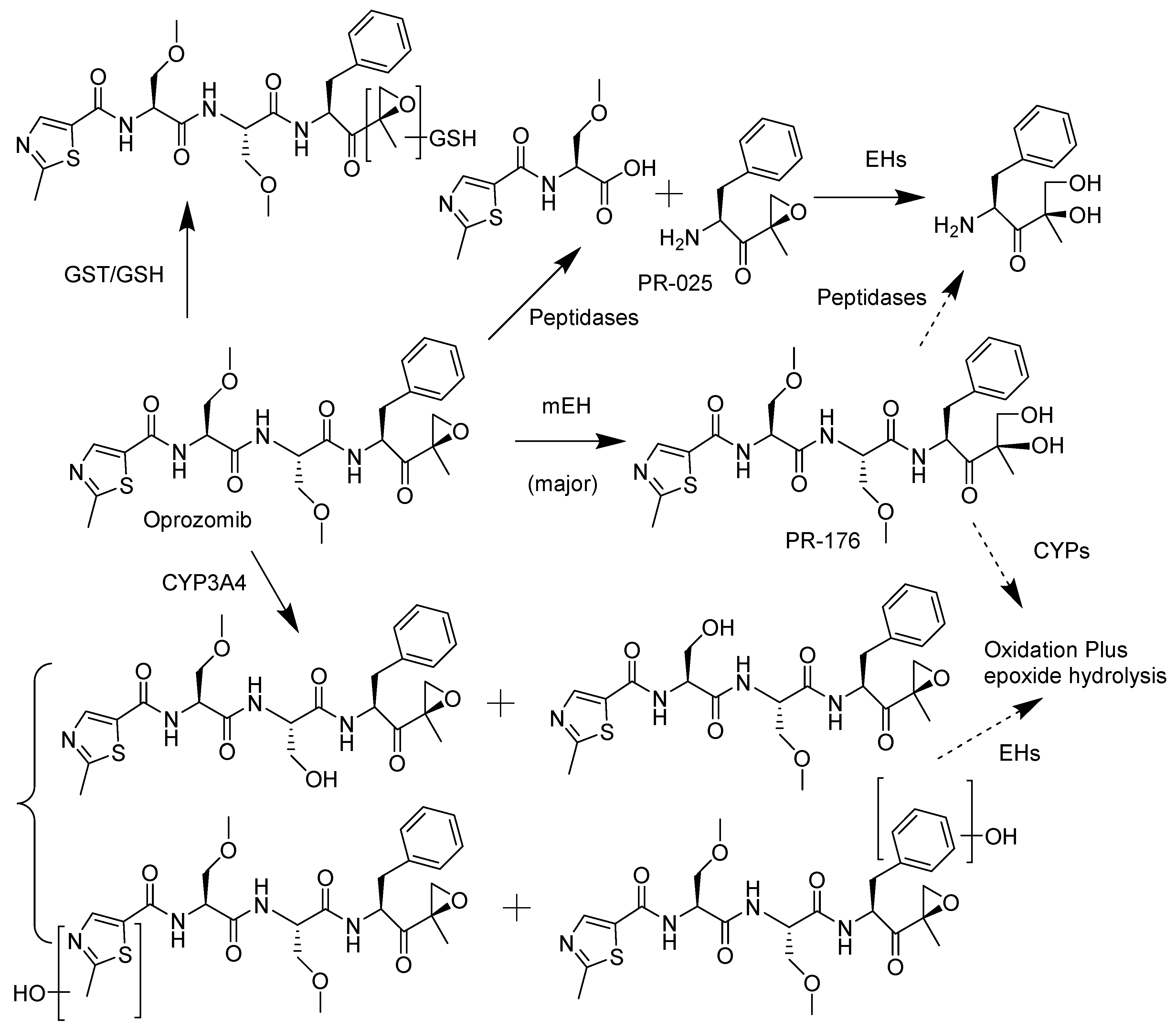 Ijms 22 11595 sch004