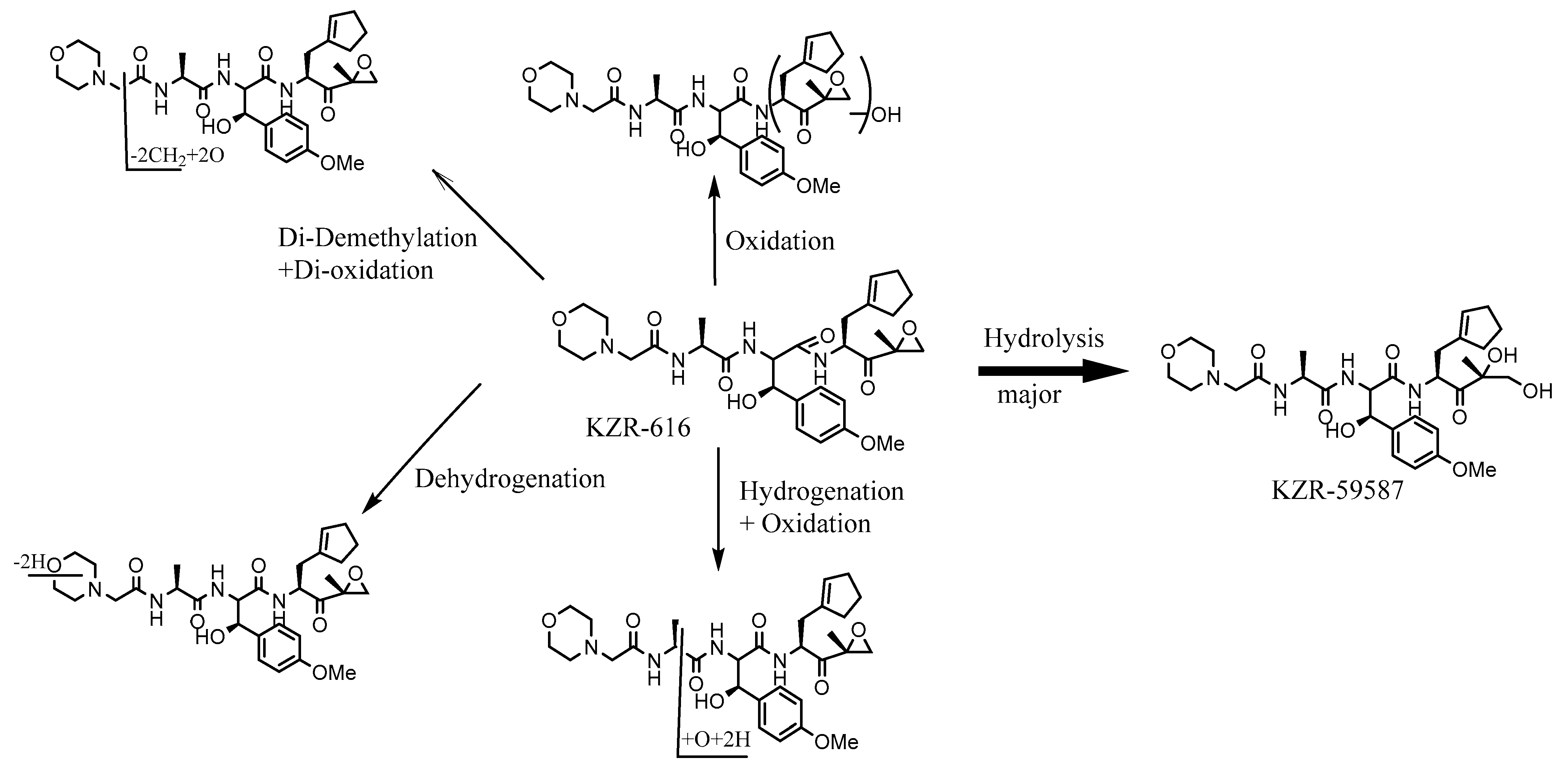 Ijms 22 11595 sch005