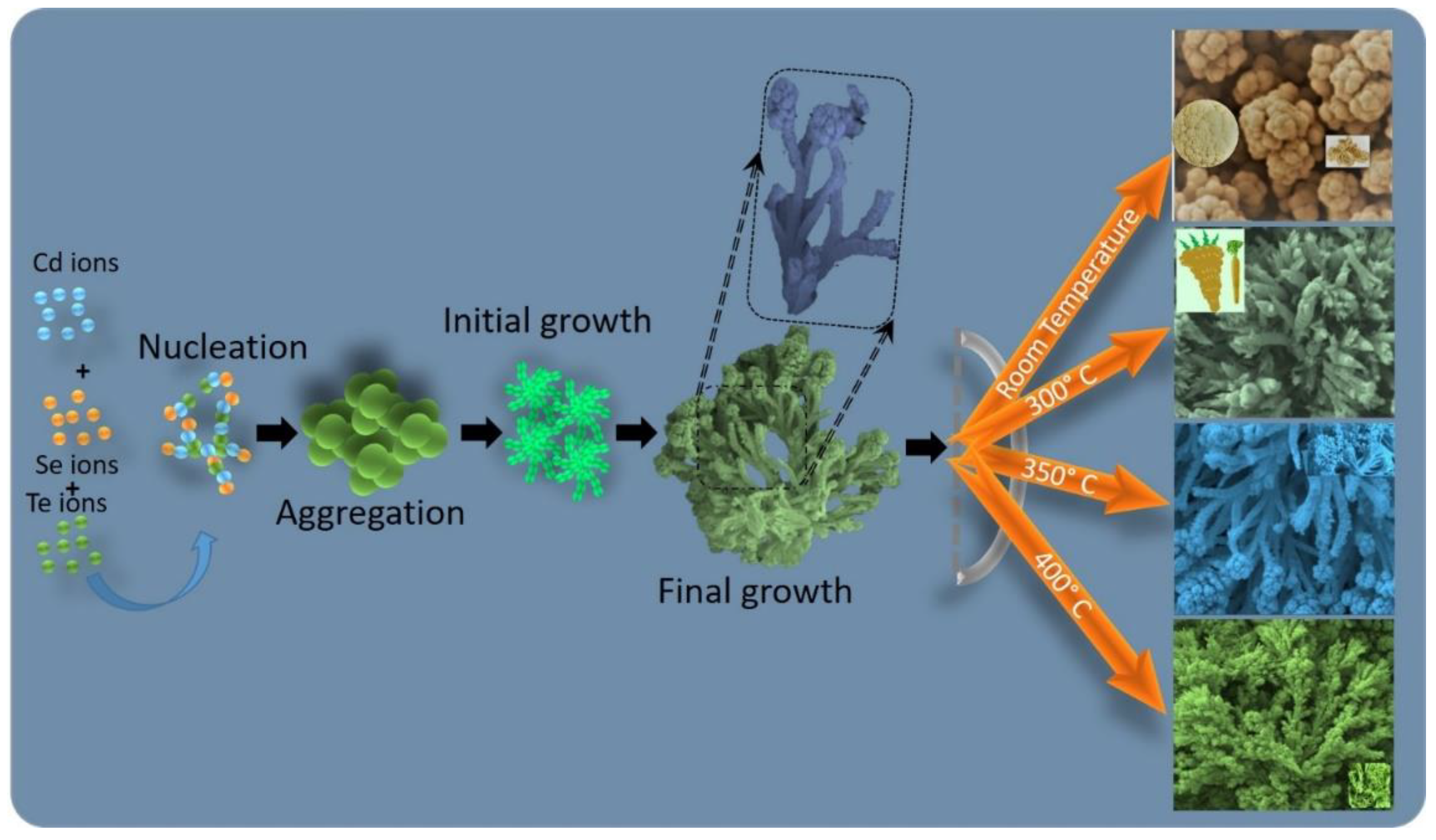 Ijms 22 11610 sch001