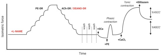 Ijms 22 11615 g0a1 Ijms 22 11615 g0a1