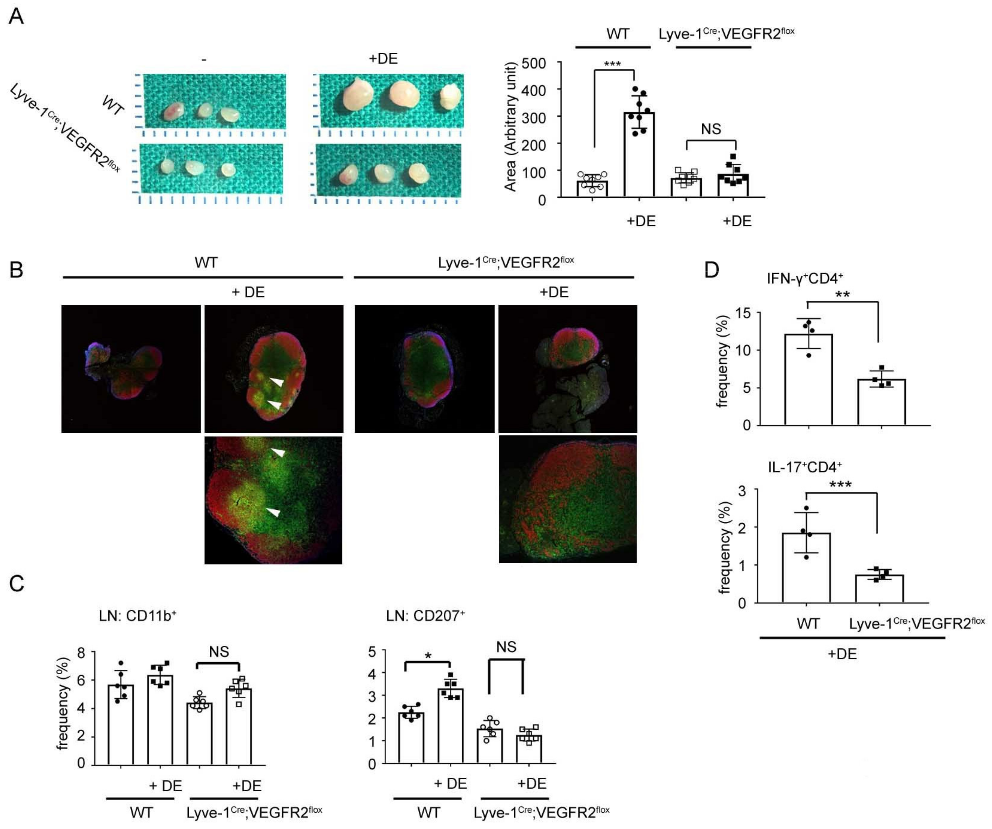 Ijms 22 11628 g006 Ijms 22 11628 g006
