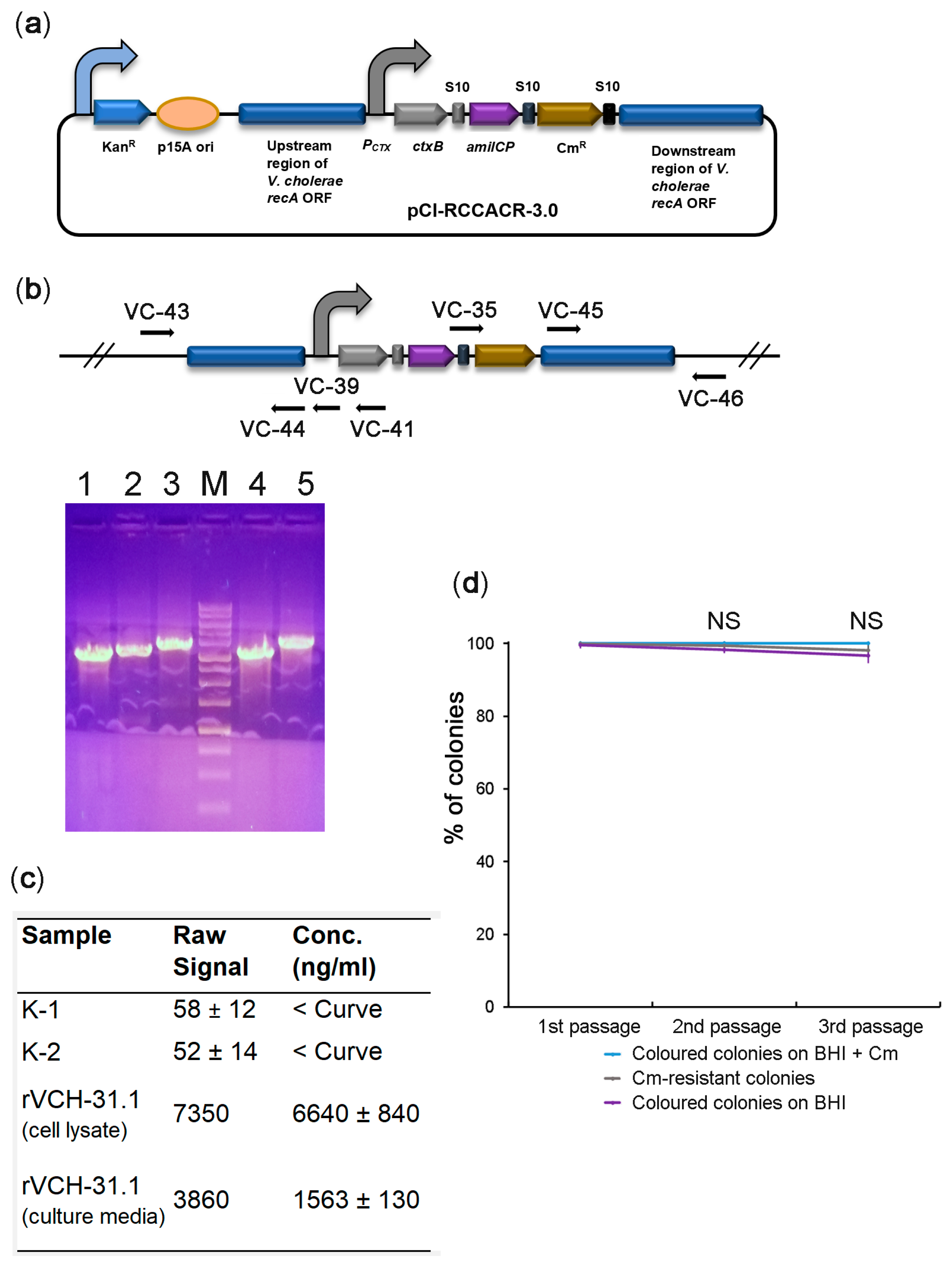Ijms 22 11657 g005 Ijms 22 11657 g005