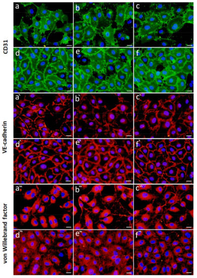 Ijms 22 11666 g008 550