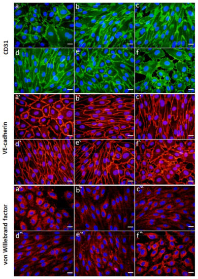 Ijms 22 11666 g009 550