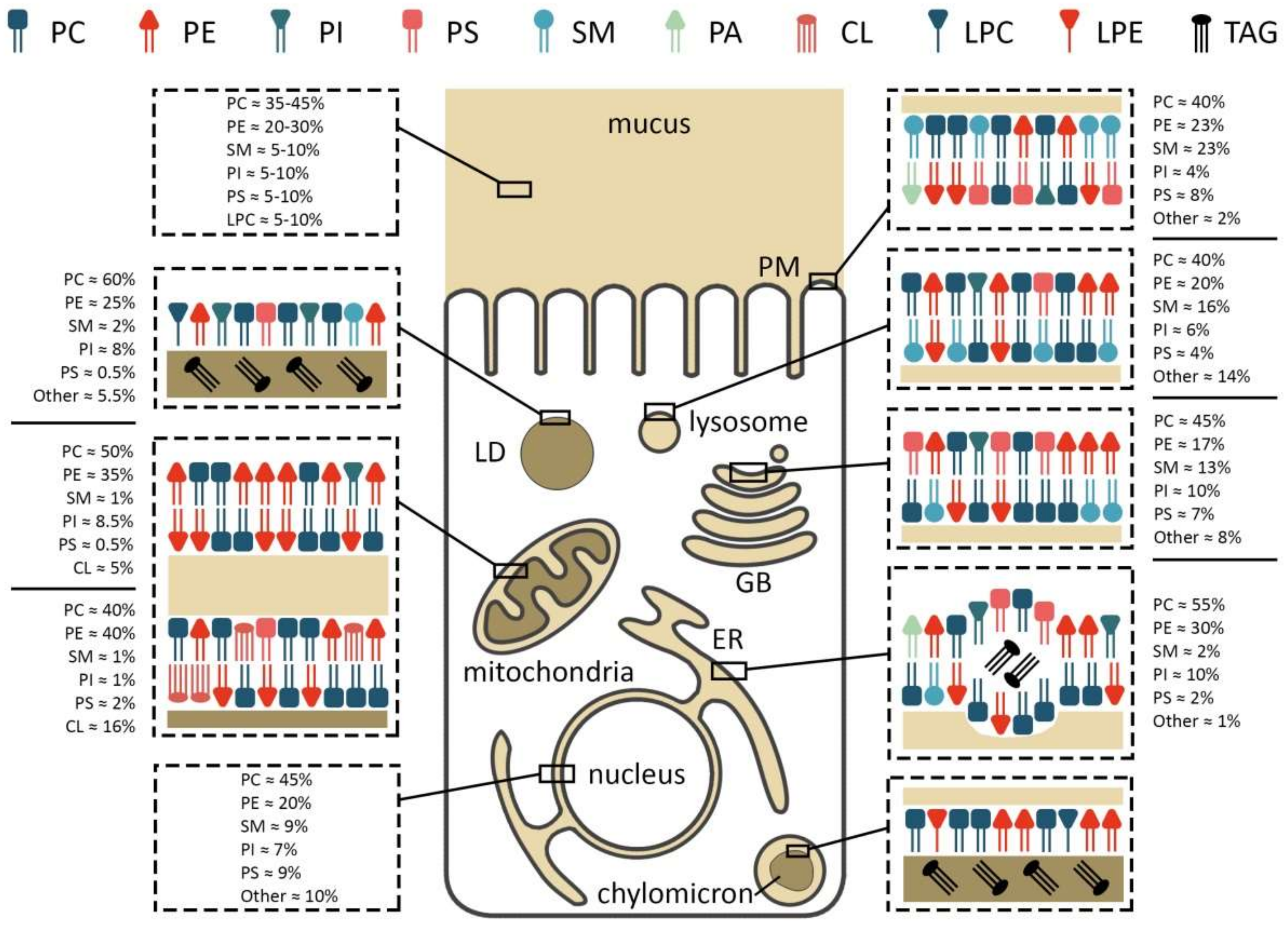 Ijms 22 11682 g002 Ijms 22 11682 g002