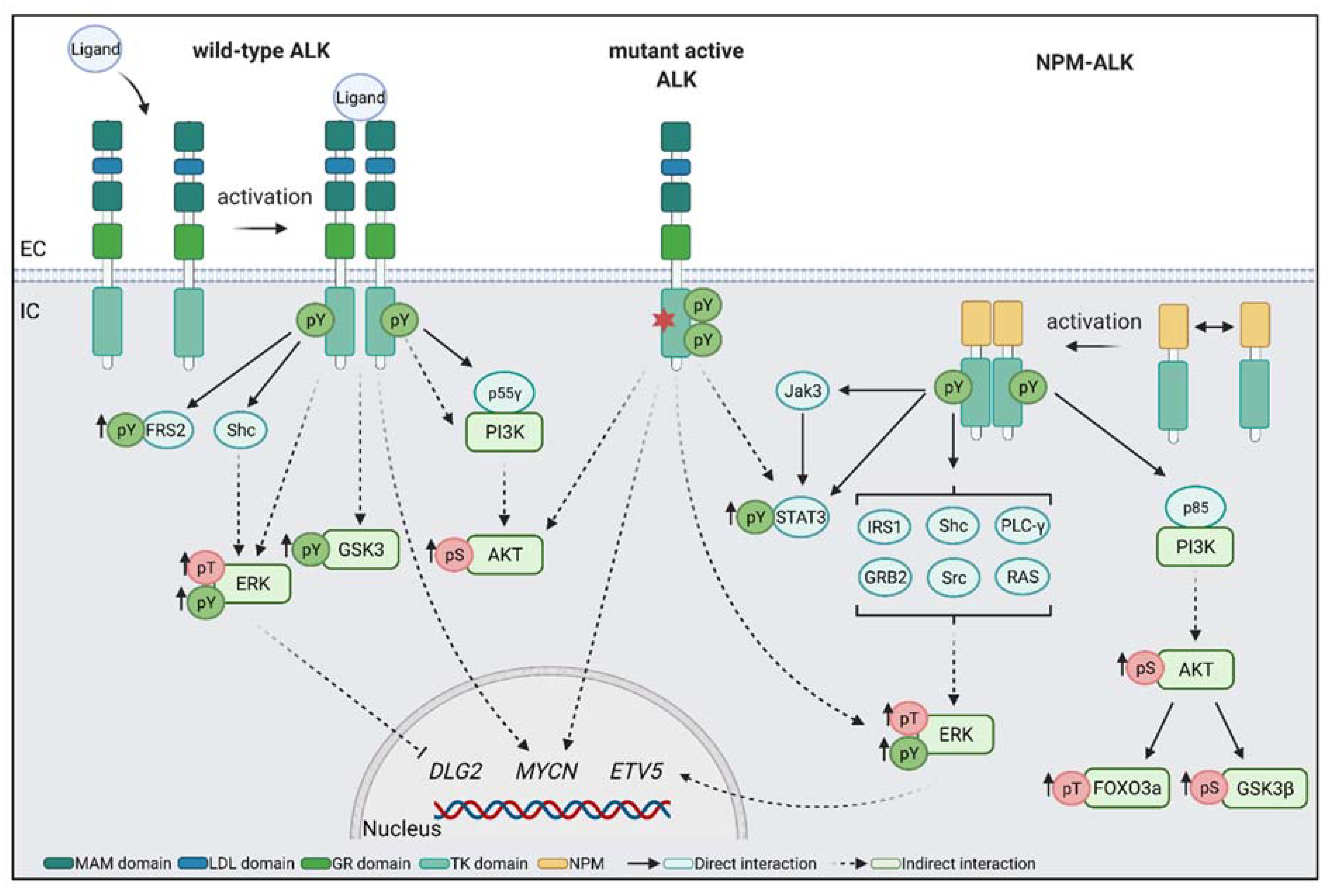 Ijms 22 11718 g002 Ijms 22 11718 g002