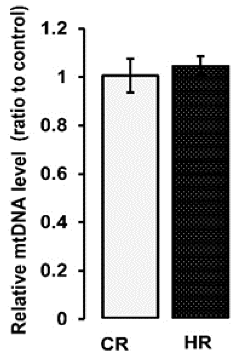 Ijms 22 11744 g001 Ijms 22 11744 g001