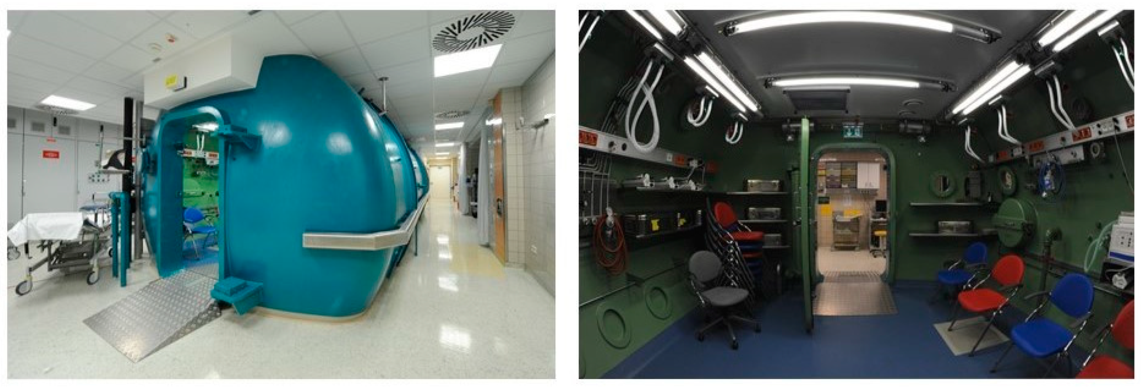 Ijms 22 11754 g001 Ijms 22 11754 g001