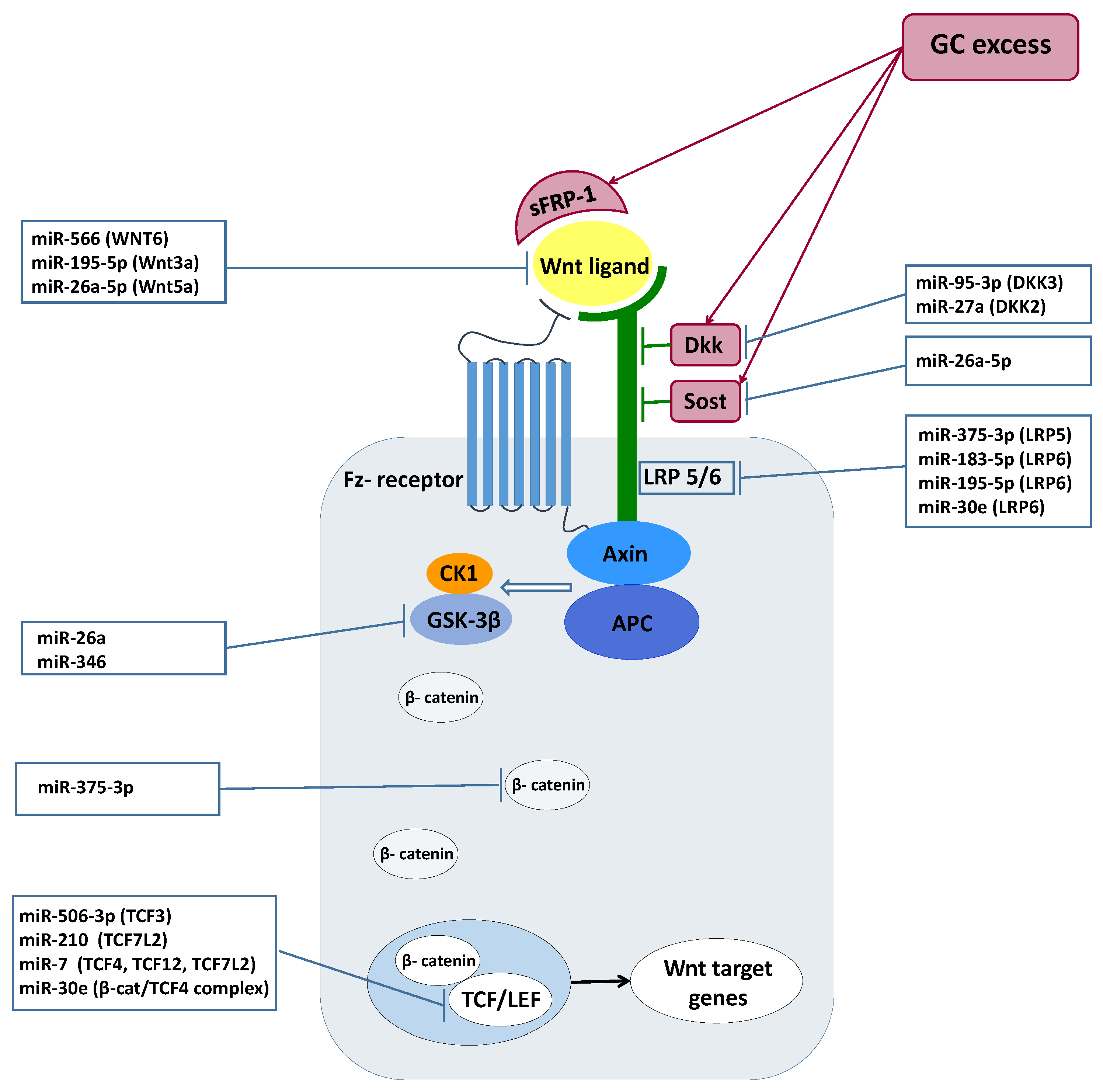 Ijms 22 11778 g002 Ijms 22 11778 g002