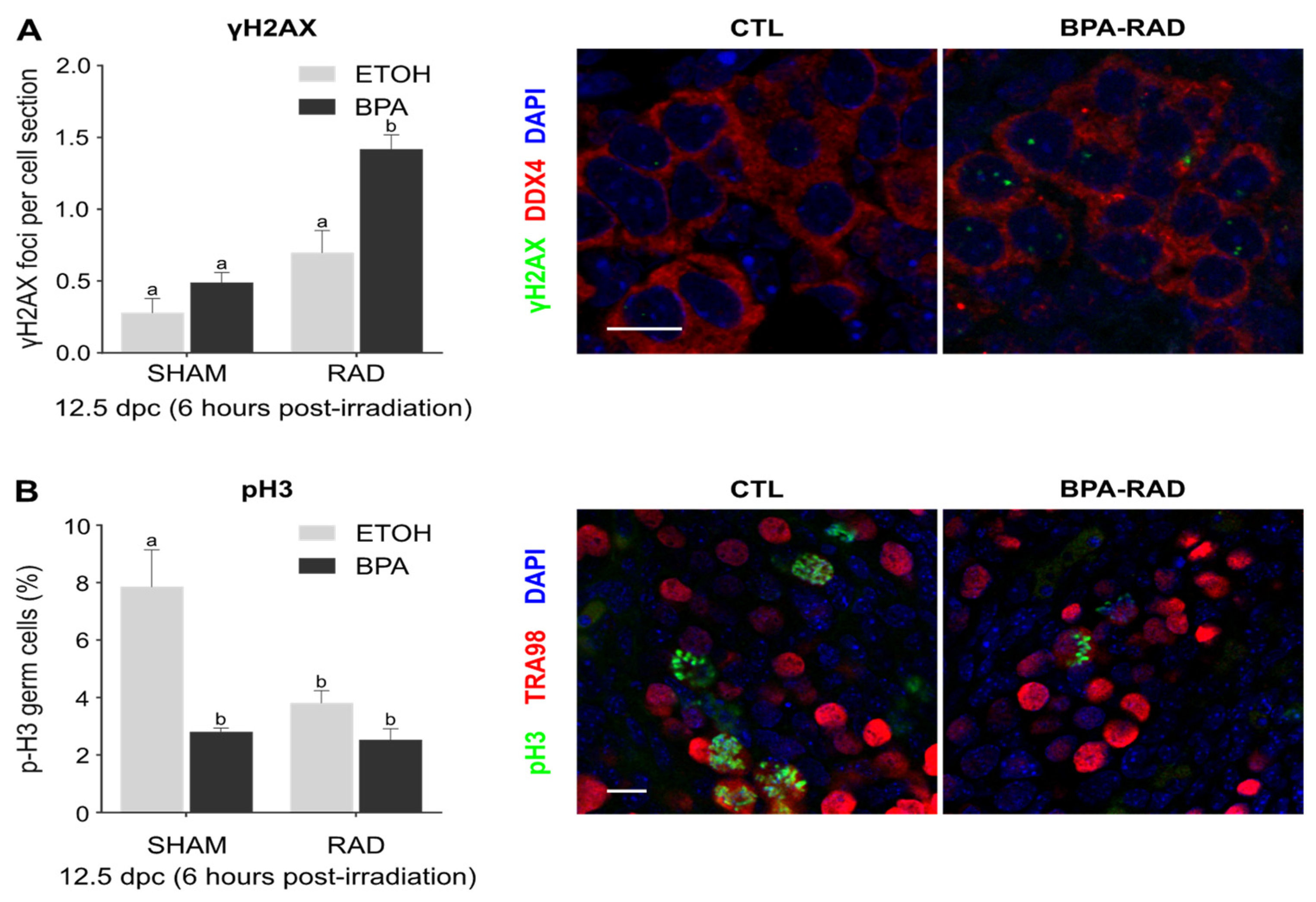 Ijms 22 11808 g001a Ijms 22 11808 g001a